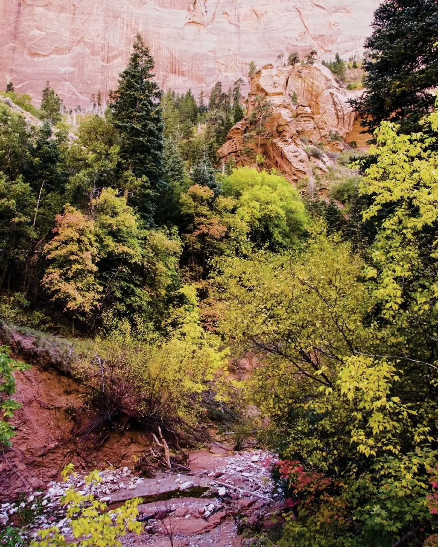 Nationalparks des Westens erwandern (ab Las Vegas) LANDSCAPE