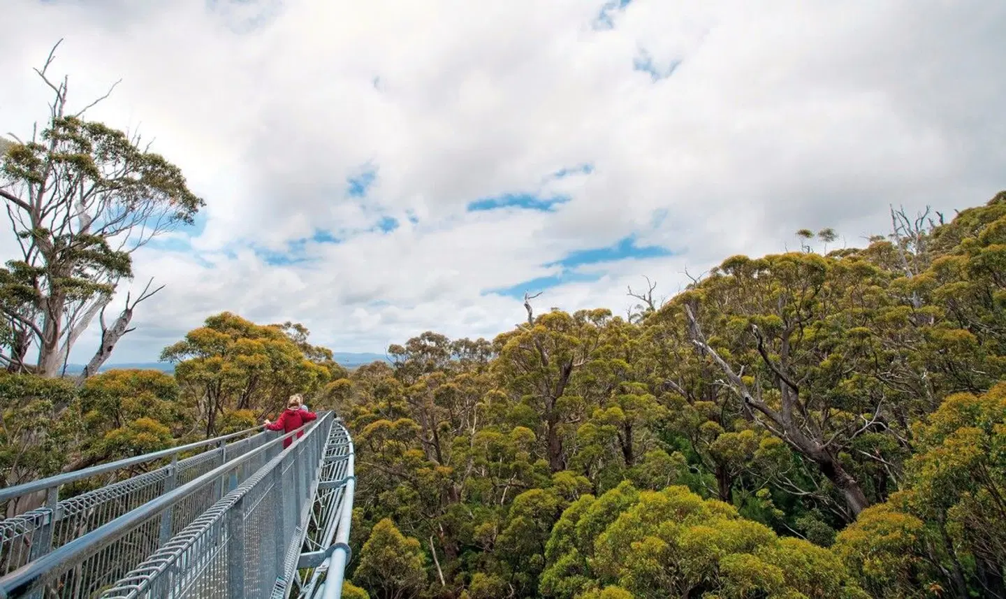 Highlights des Südwestens LANDSCAPE