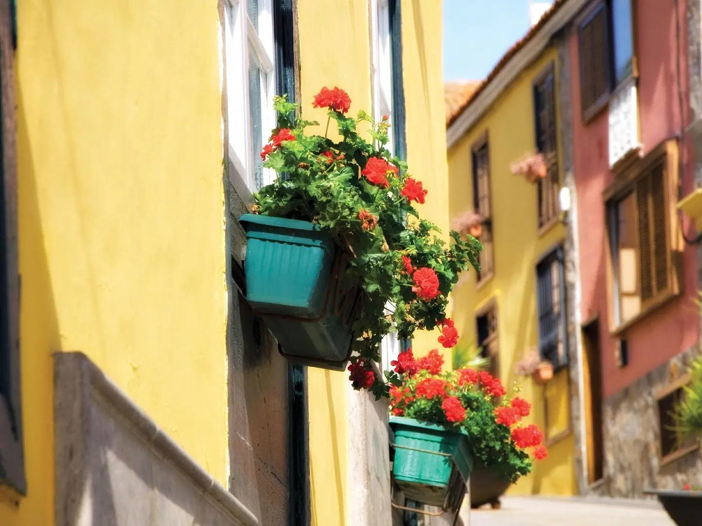 Rural Senderos de Abona EXTERIOR