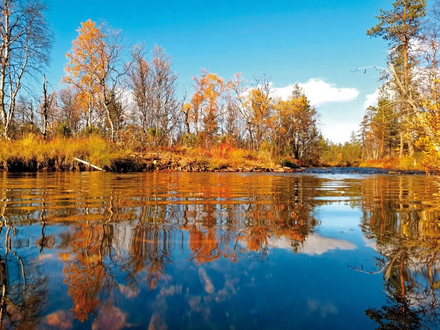 Finnische Naturerlebnisse LANDSCAPE