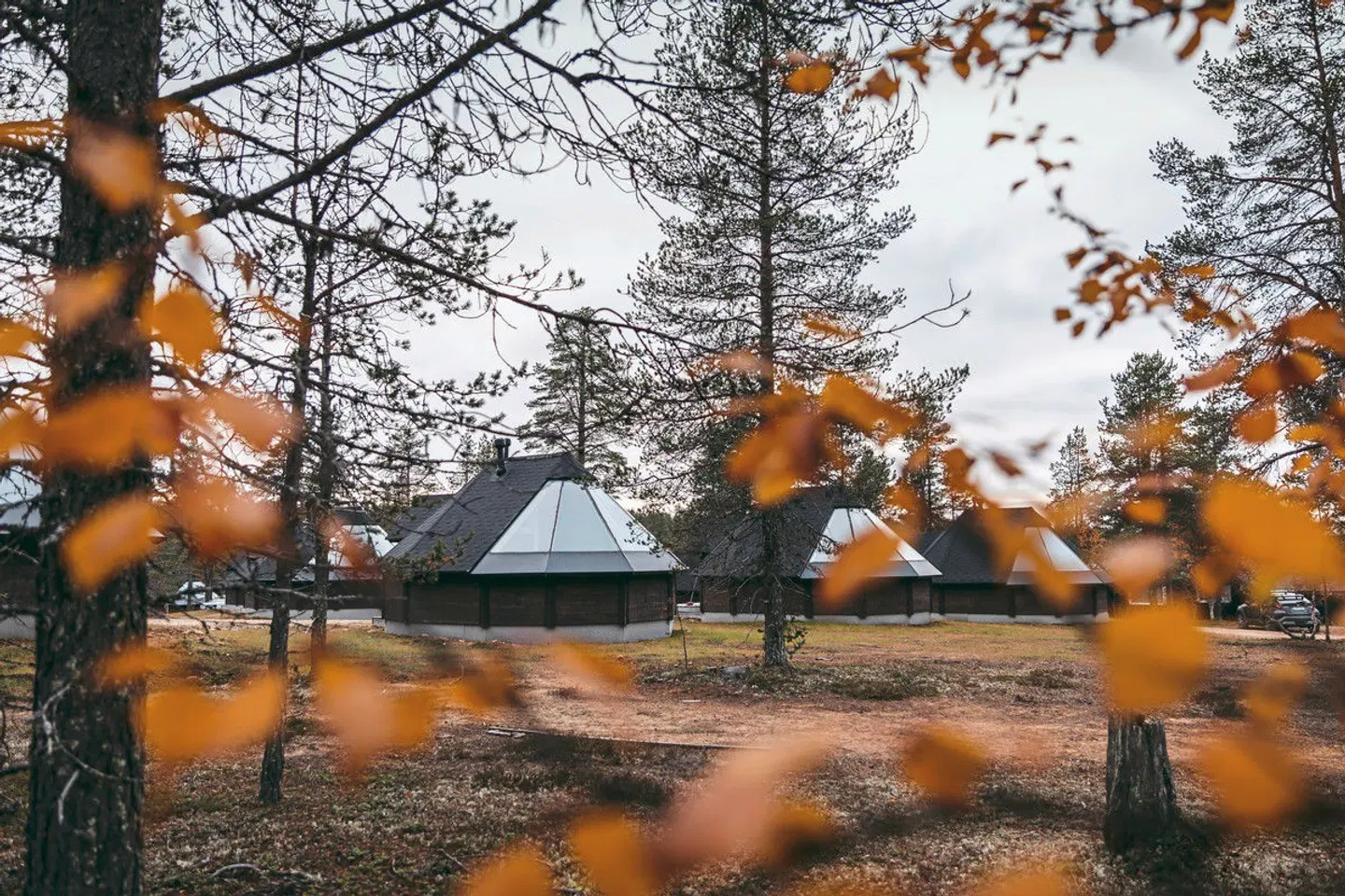 Finnische Naturerlebnisse Tiere