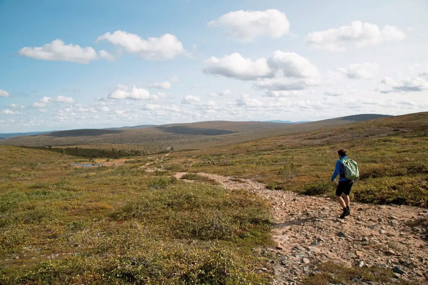 Finnische Naturerlebnisse LANDSCAPE