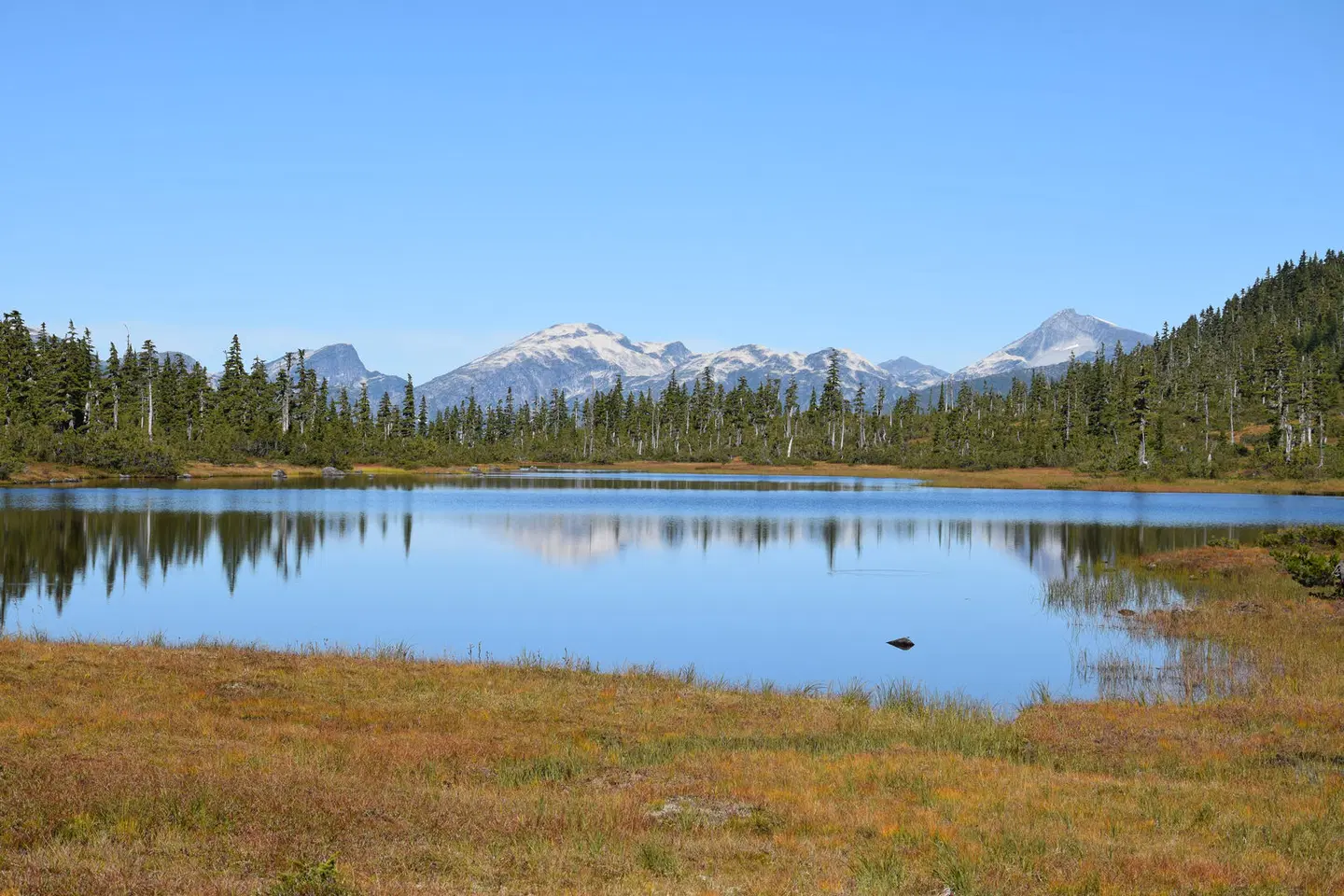 Terra Nostra Guest Ranch OUTDOOR_POOL