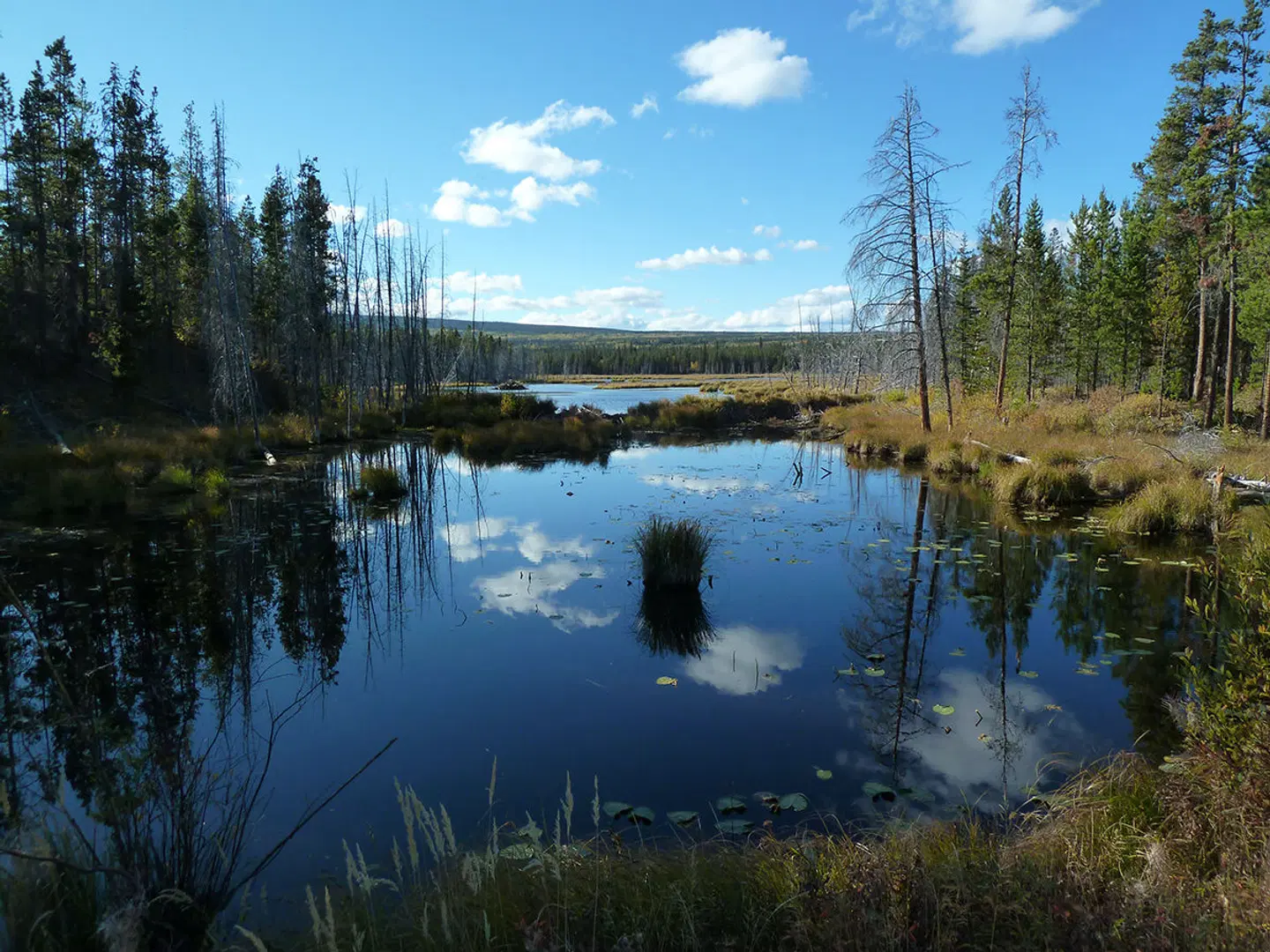 Terra Nostra Guest Ranch OUTDOOR_POOL