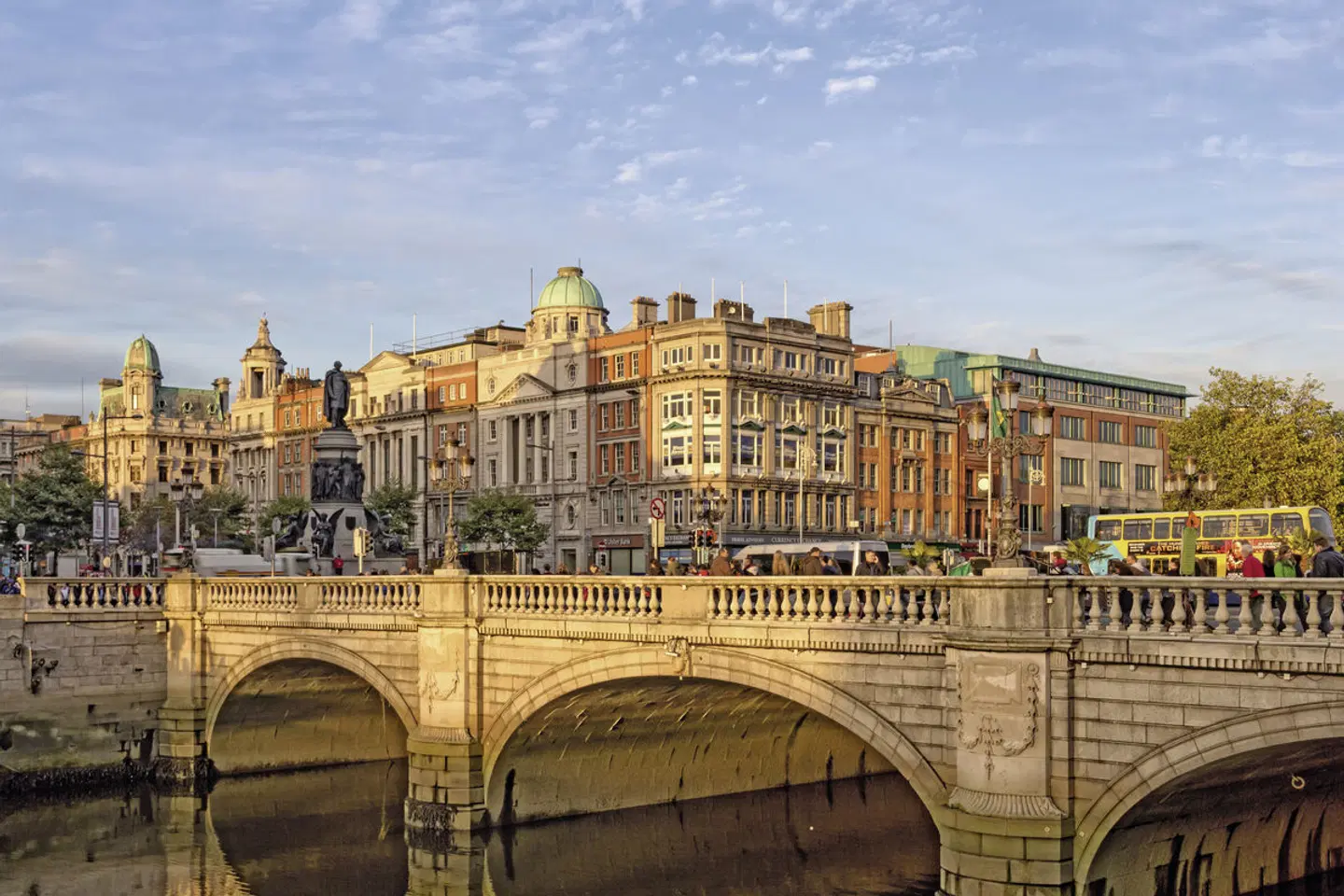 Irland Rundreise Tiere