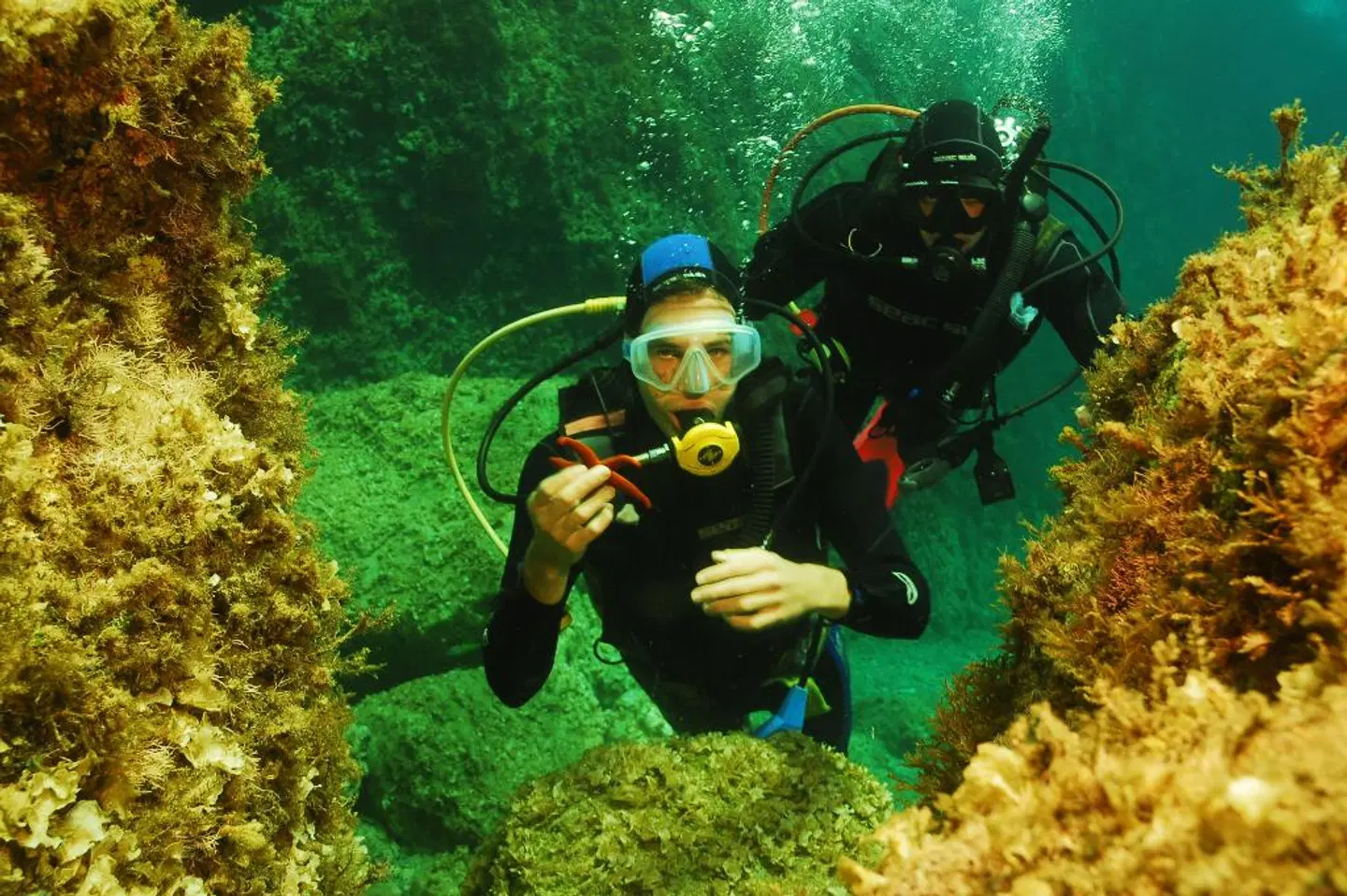 Kalypso Cretan Village Resort & Spa Tiere