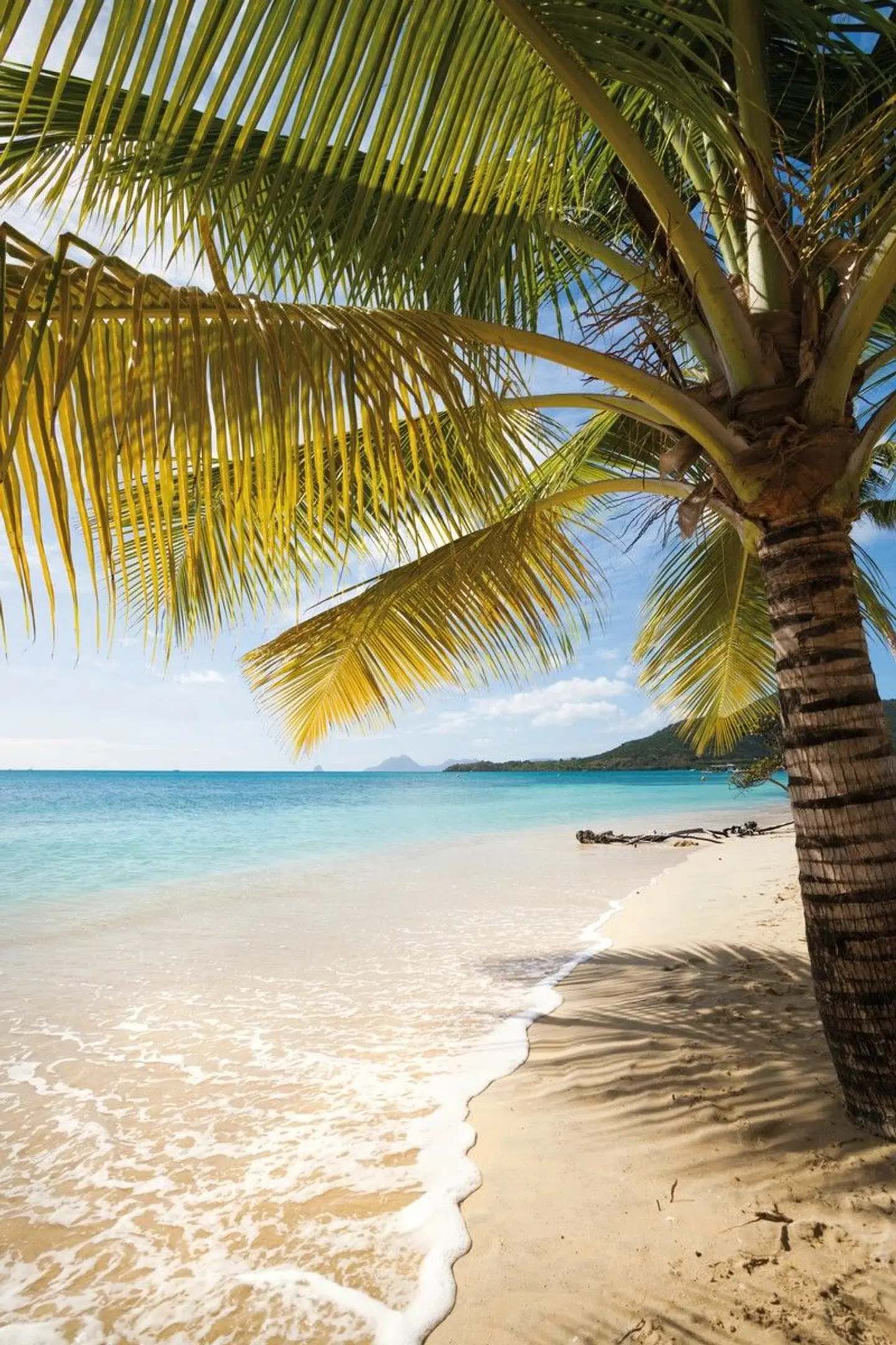 100 % Martinique - Erlebnis Blumeninsel Strand