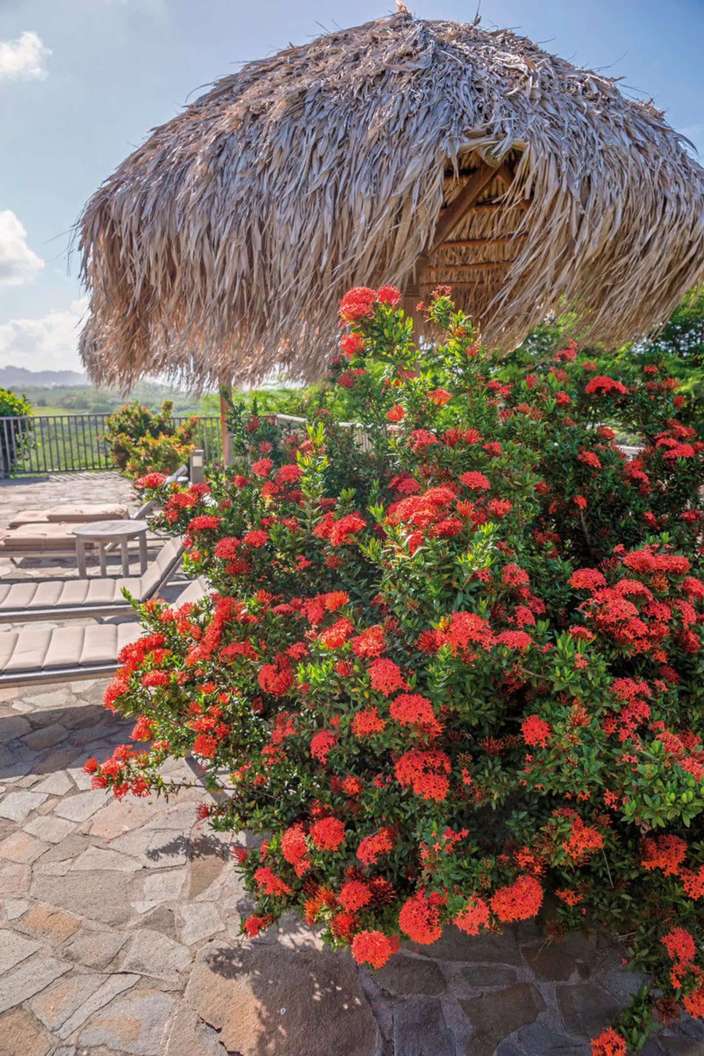 100 % Martinique - Erlebnis Blumeninsel LANDSCAPE