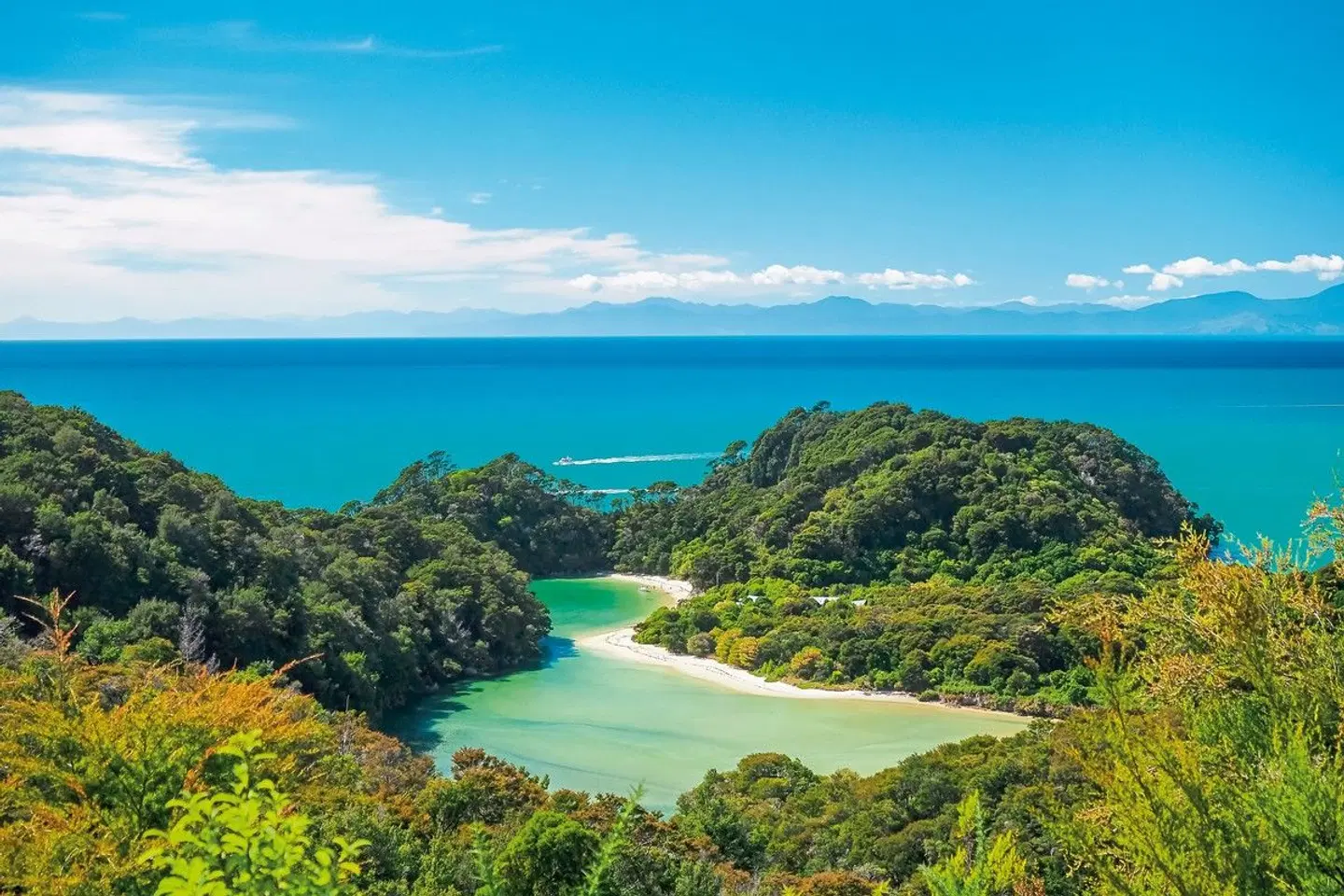 Natur pur - traumhaftes Neuseeland LANDSCAPE