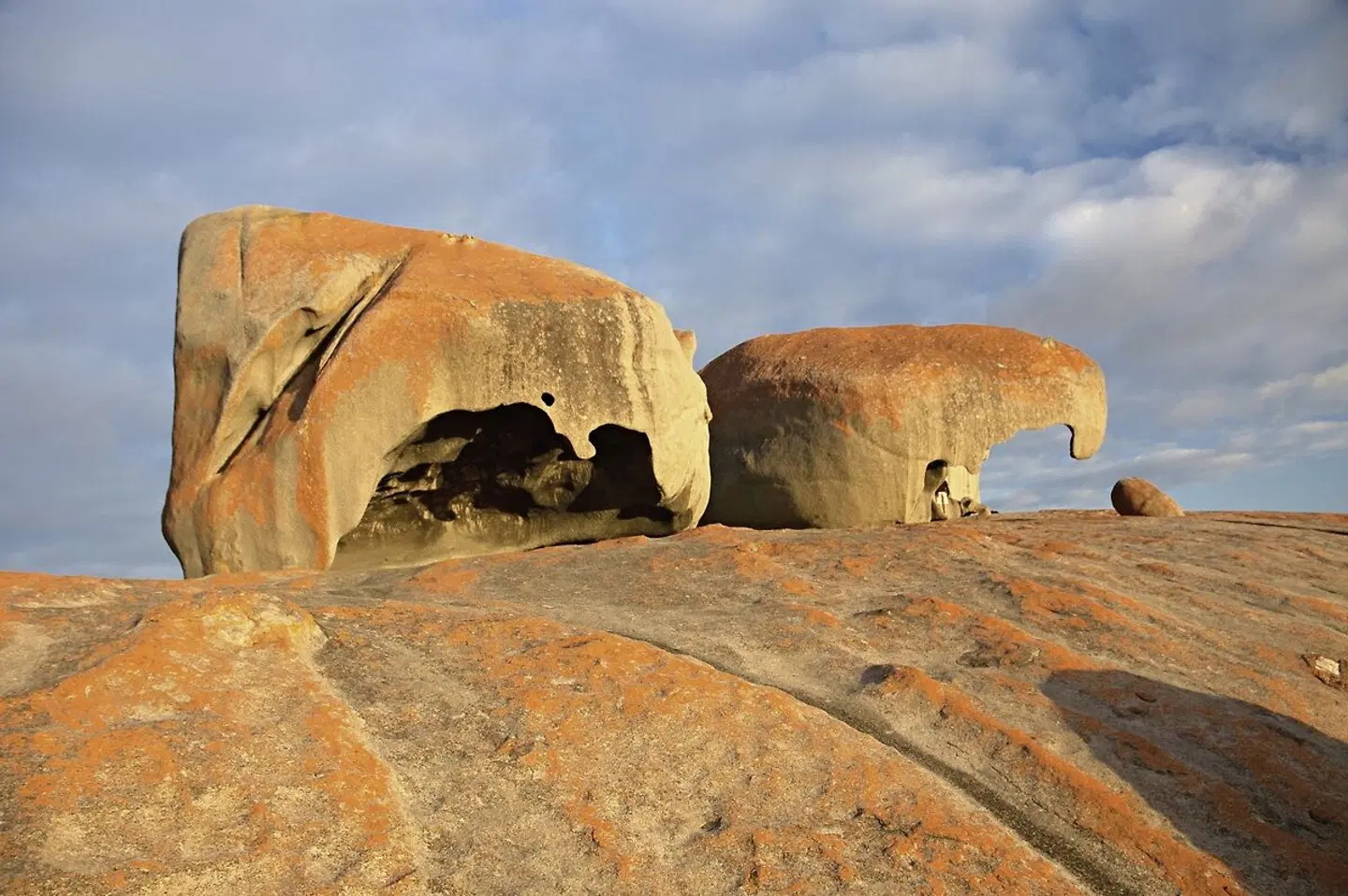 Auf den Spuren der Regenbogenschlange Tiere