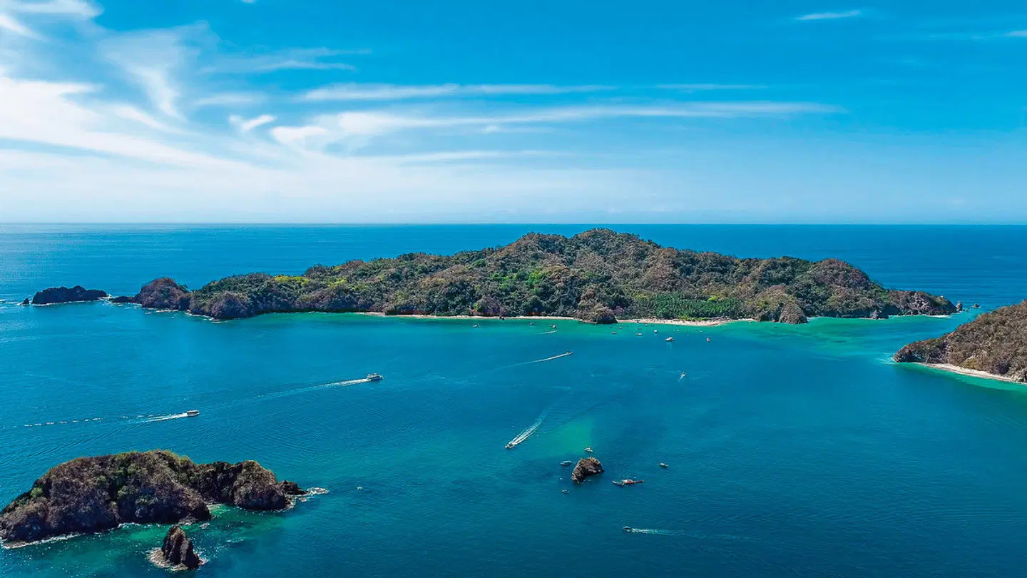 Highlights um San José LANDSCAPE