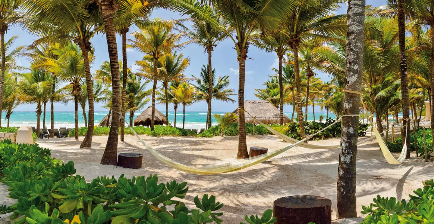 Catalonia Royal Tulum Beach & Spa Resort GARDEN