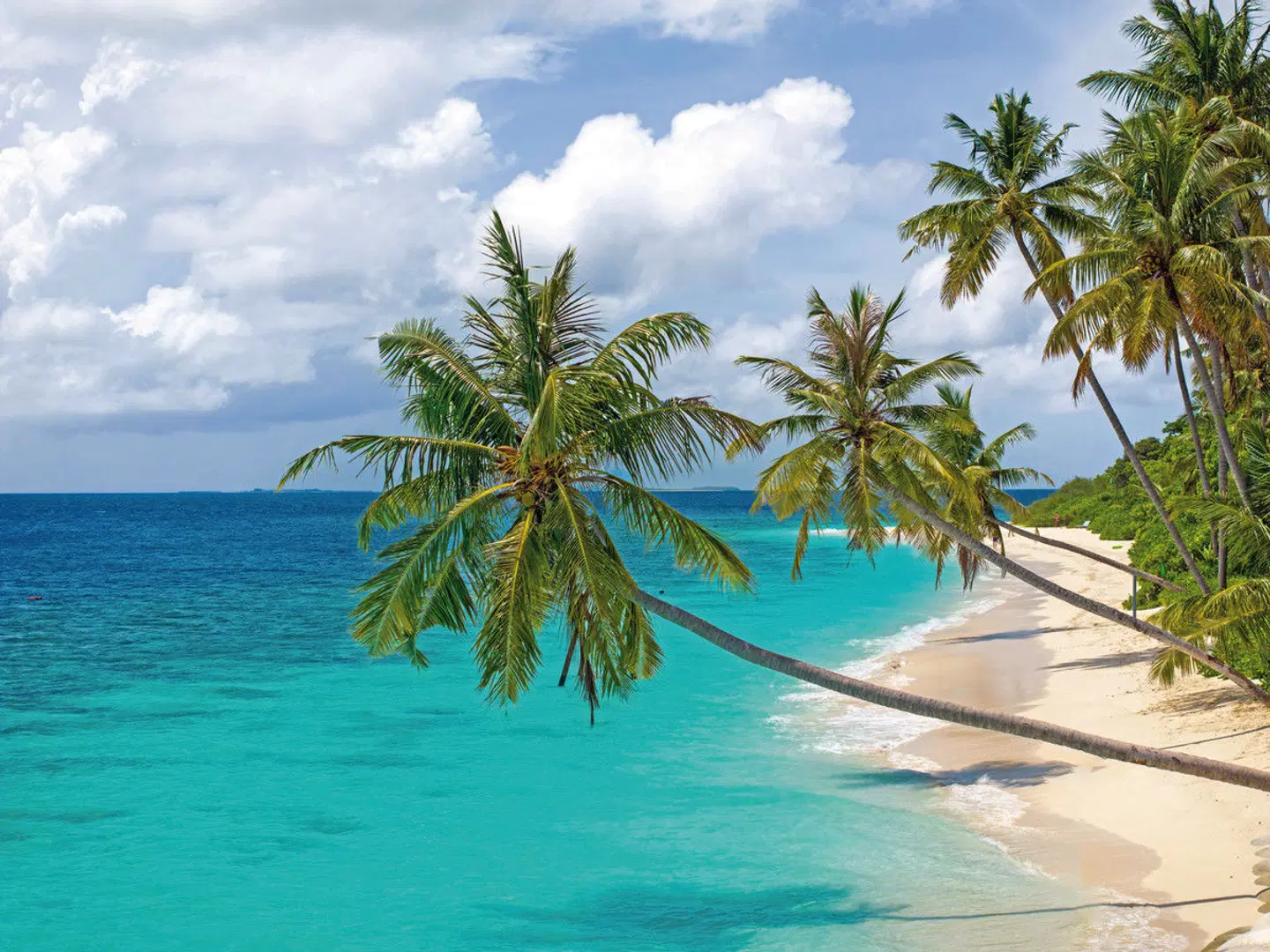 Reethi Faru Resort OUTDOOR_POOL