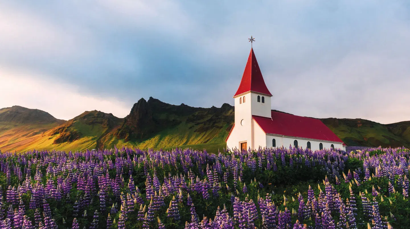 Norwegen Kombination - Oslo & Bergen LANDSCAPE