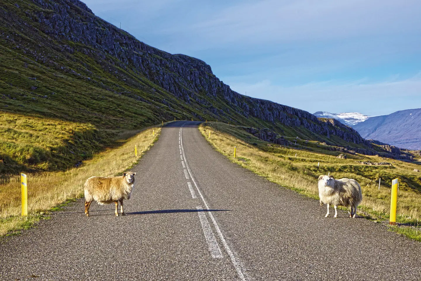 Island Rundreise LANDSCAPE