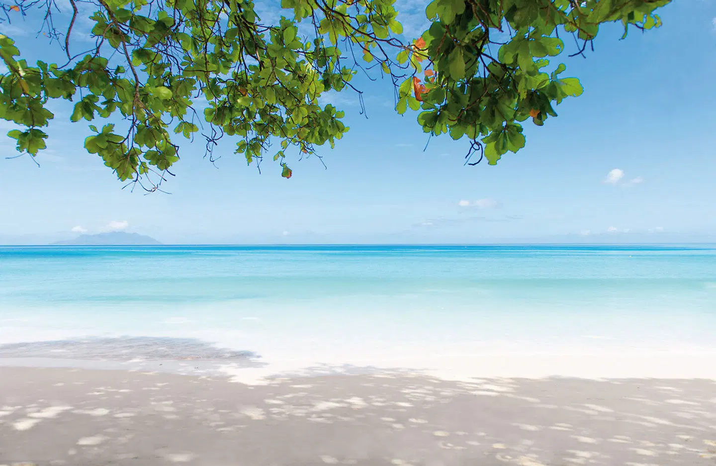STORY Seychelles BEACH