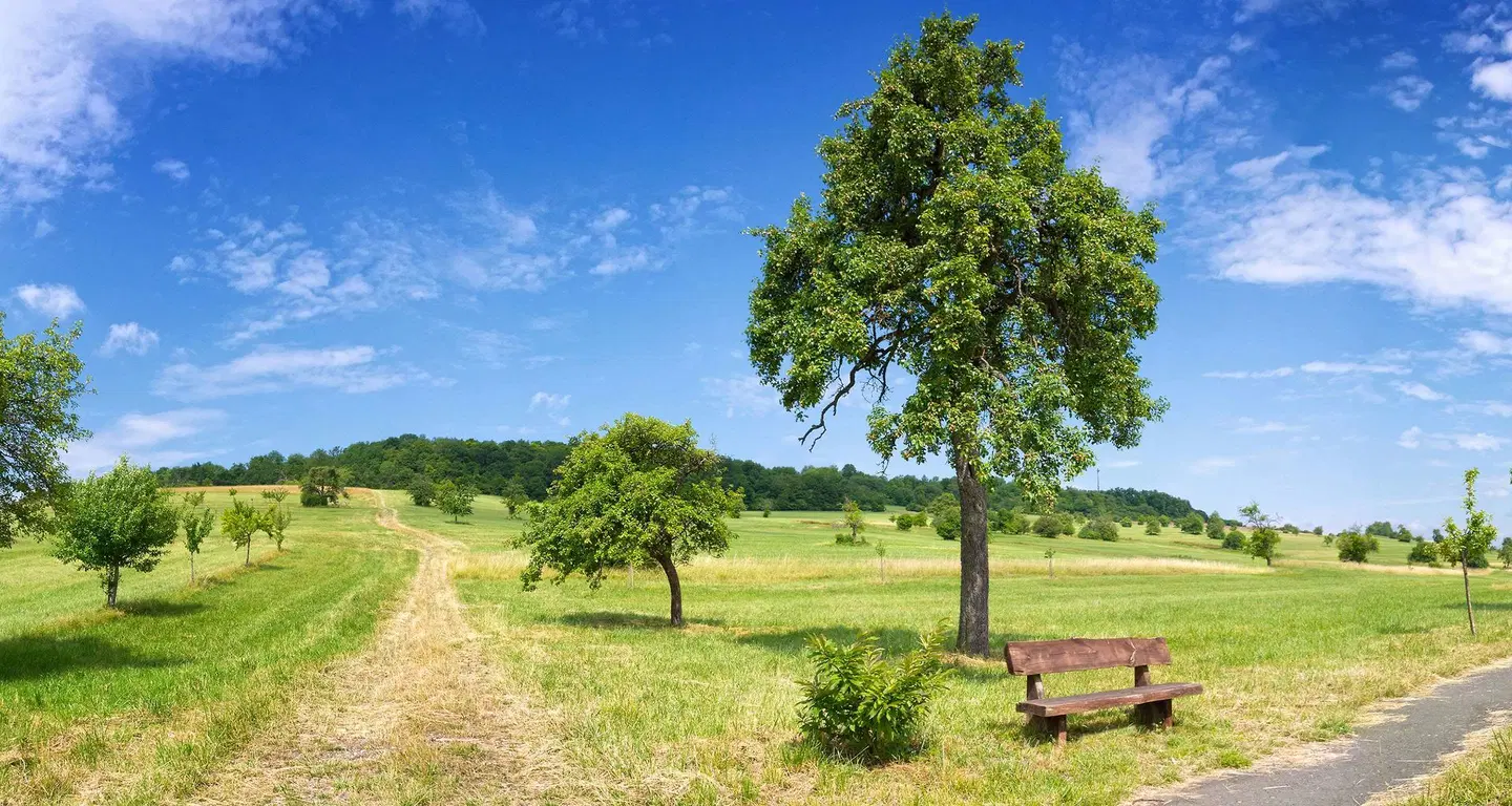 Best Western Victor's Residenz-Hotel Rodenhof Garten