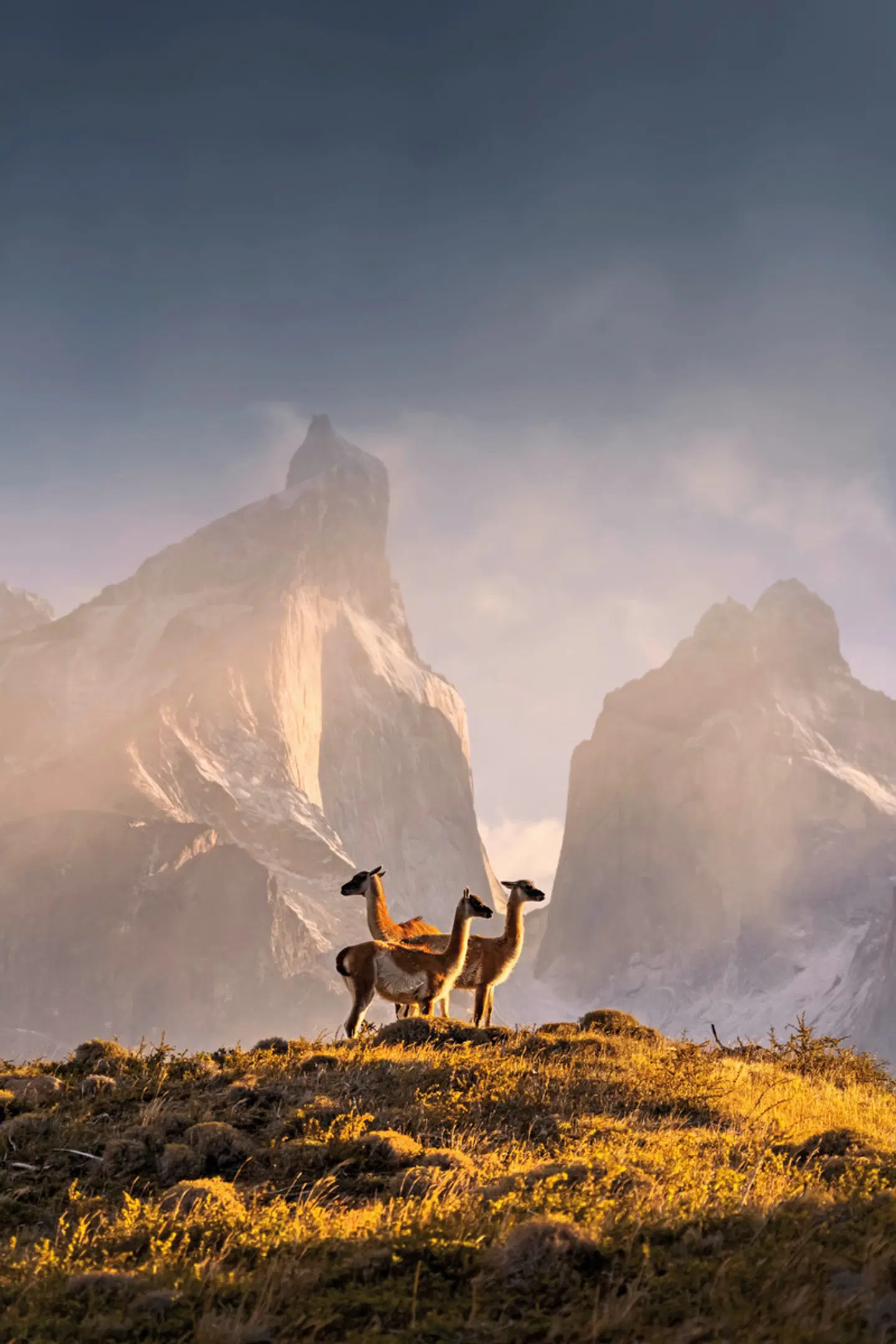 Gletscher, Pampa & Metropolen LANDSCAPE