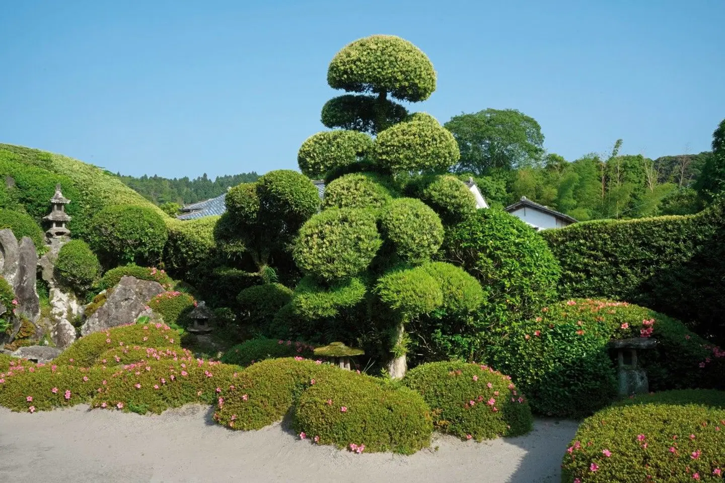 Land der aufgehenden Sonne (inkl. Flug) Garten