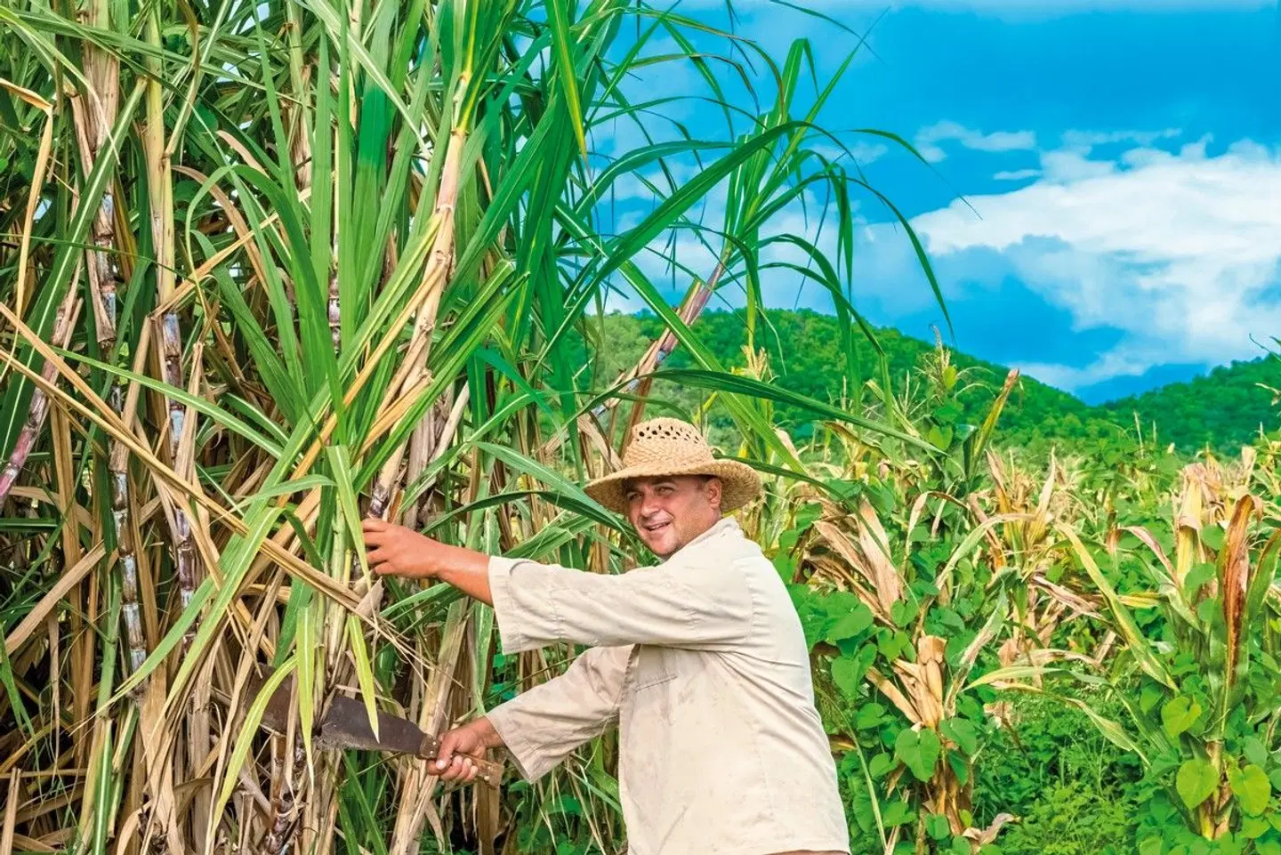 Kuba Off-Road Garten