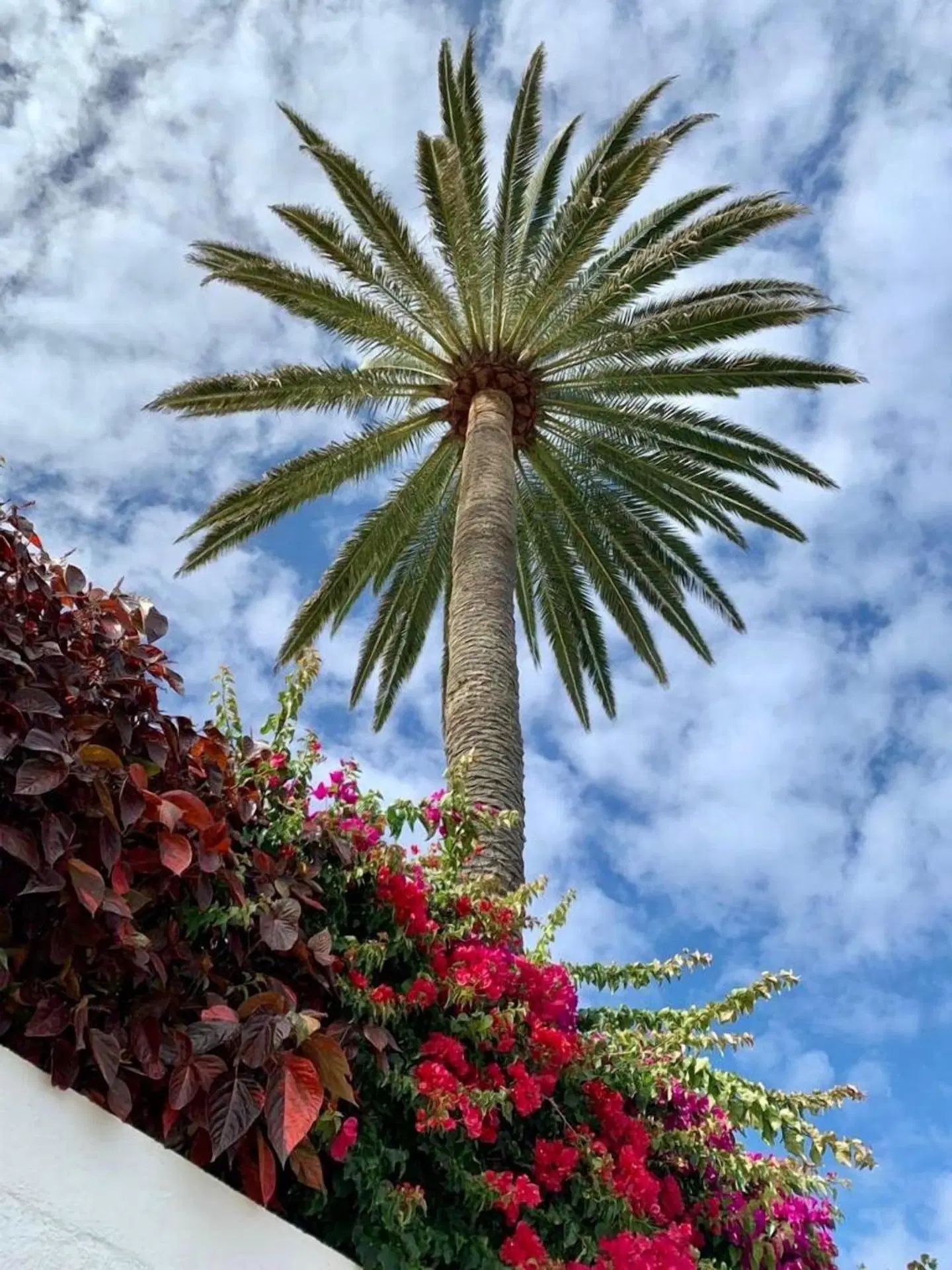 Casa Rural Malpais Trece Garten