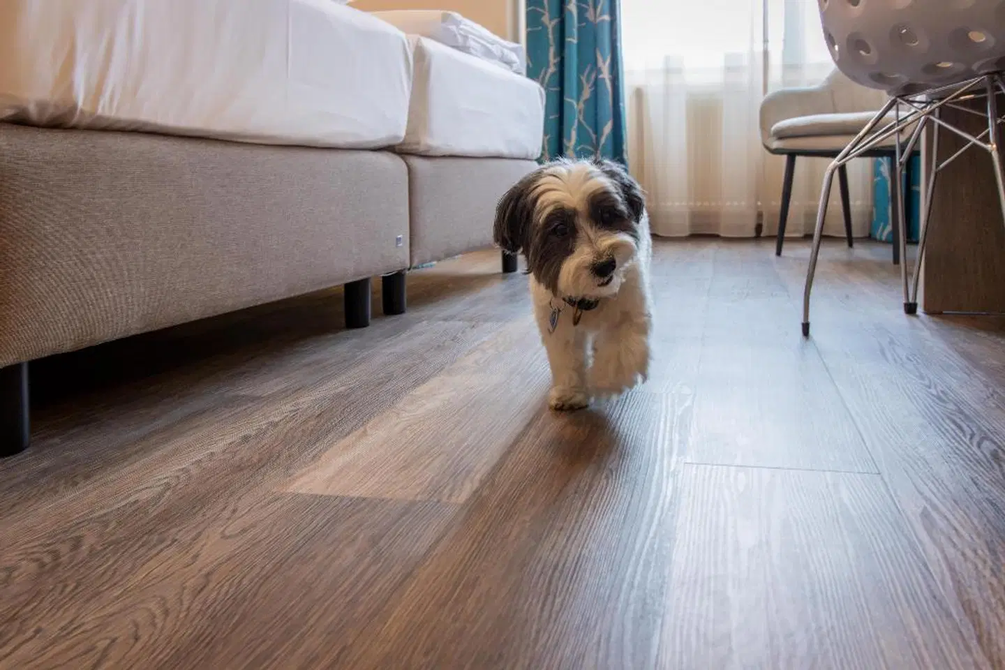 Best Western Plus Palatin Kongress Hotel ROOM_EXAMPLE