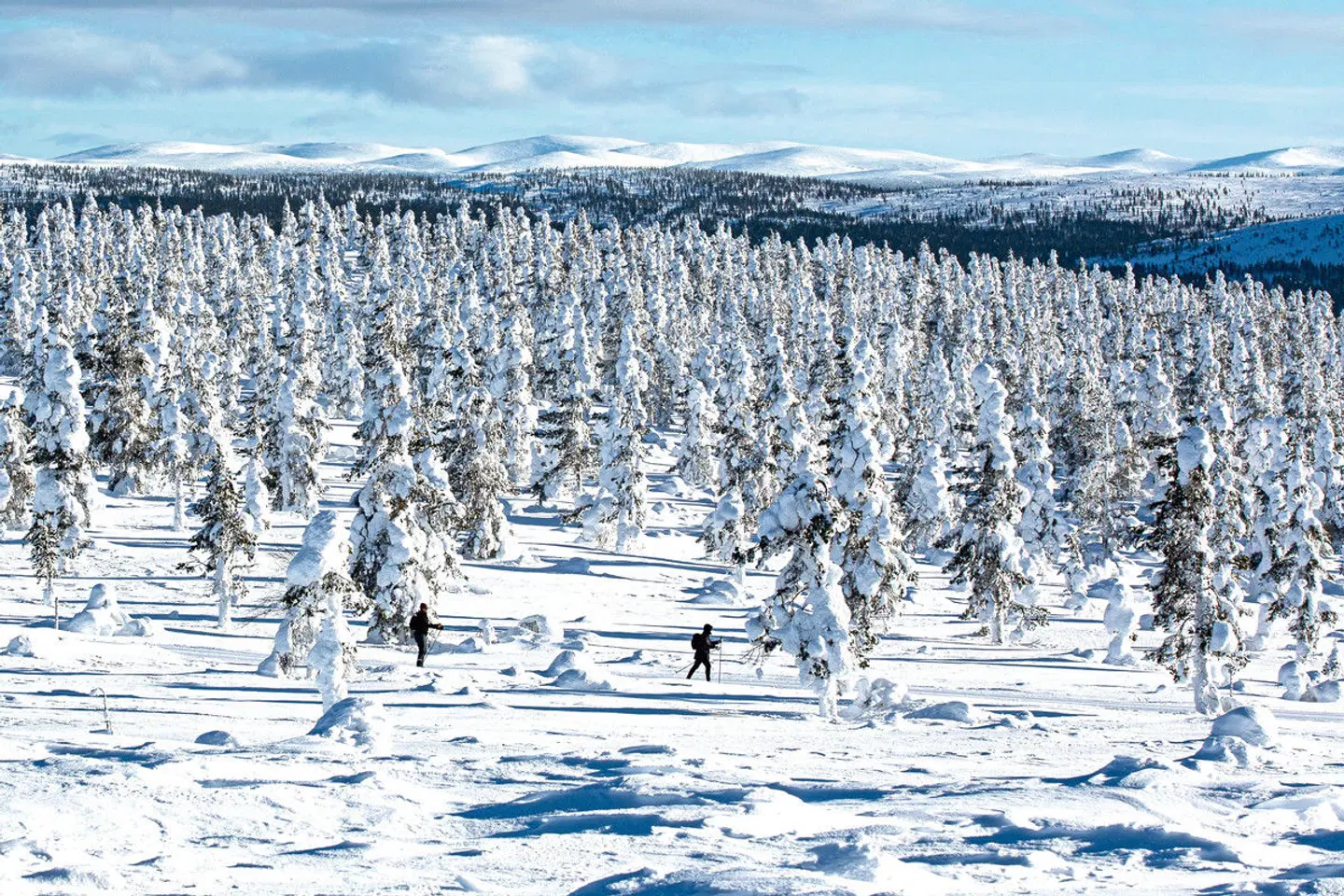 Wintererlebnis Saariselkä LANDSCAPE