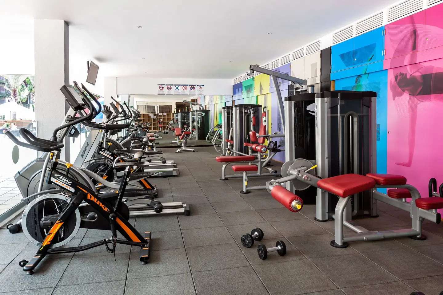 Best Jacaranda SPORTS_AND_LEISURE