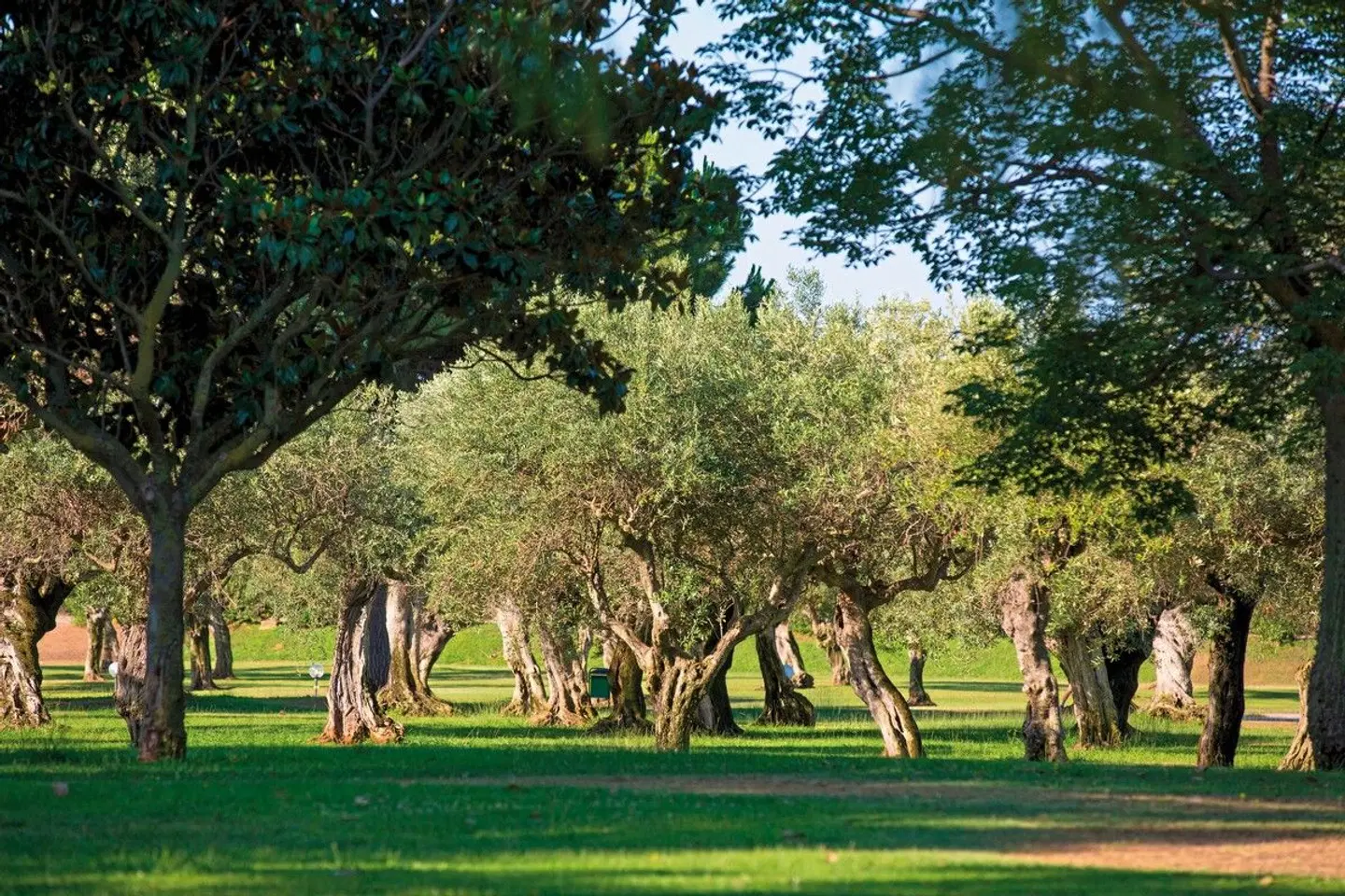 MClub Lipari SPORTS_AND_LEISURE