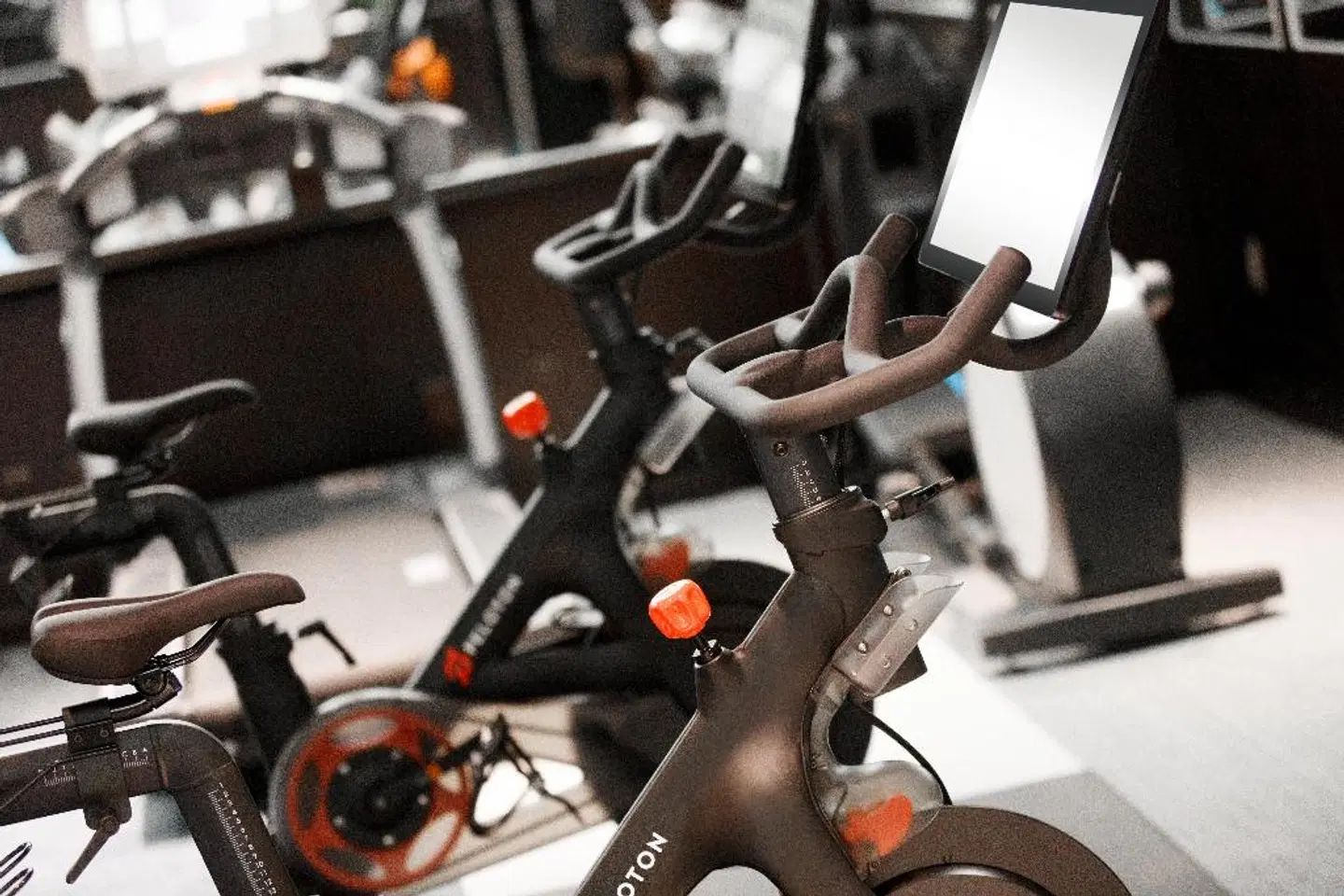 The Muse New York, a Kimpton Hotel SPORTS_AND_LEISURE