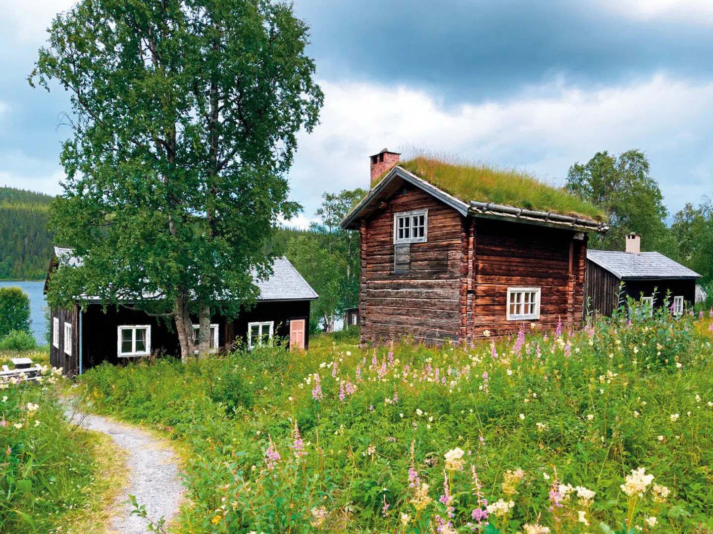 Natur pur - Nordschwedens Traumstraßen EXTERIOR