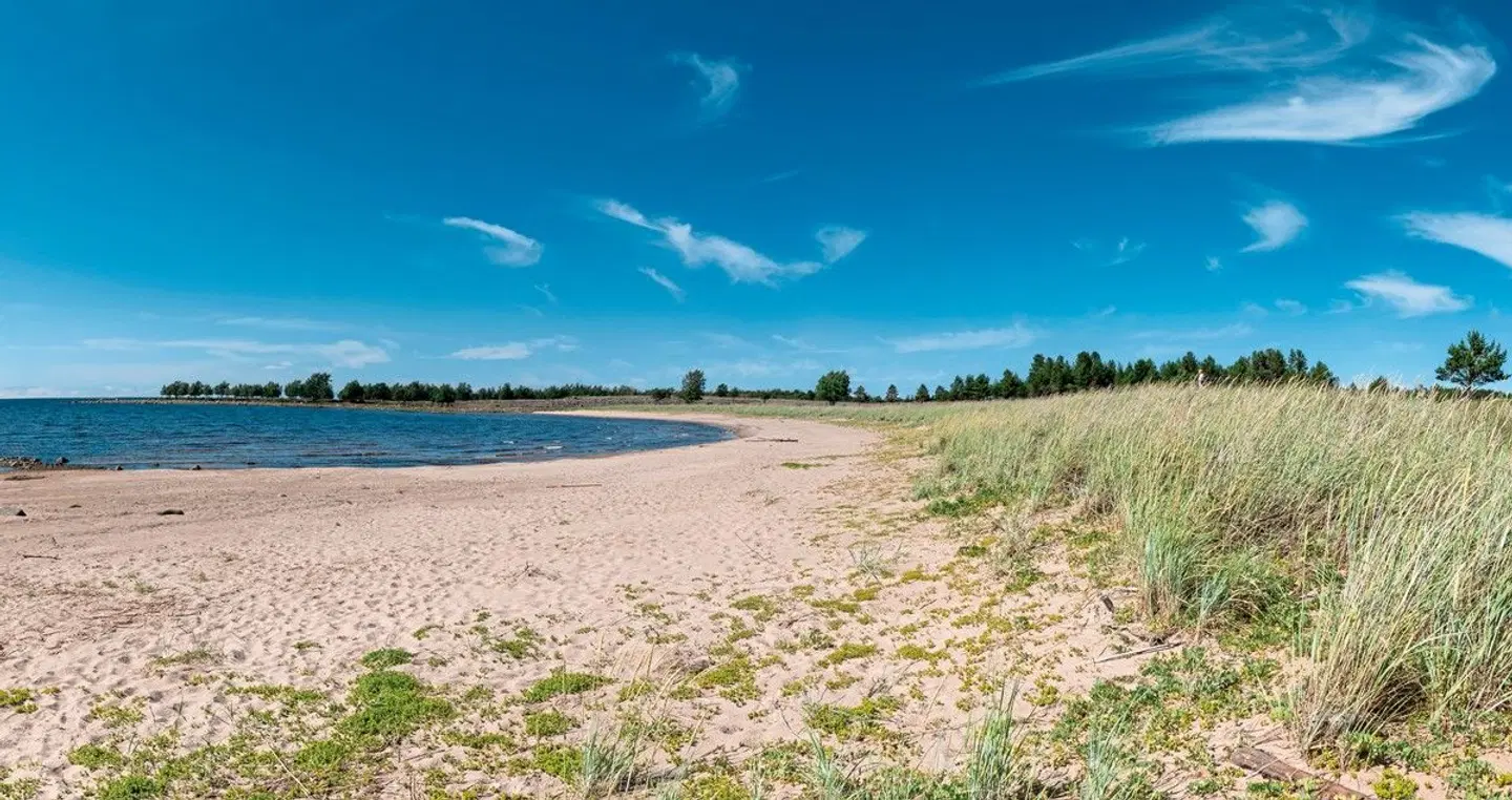 Natur pur - Nordschwedens Traumstraßen Strand