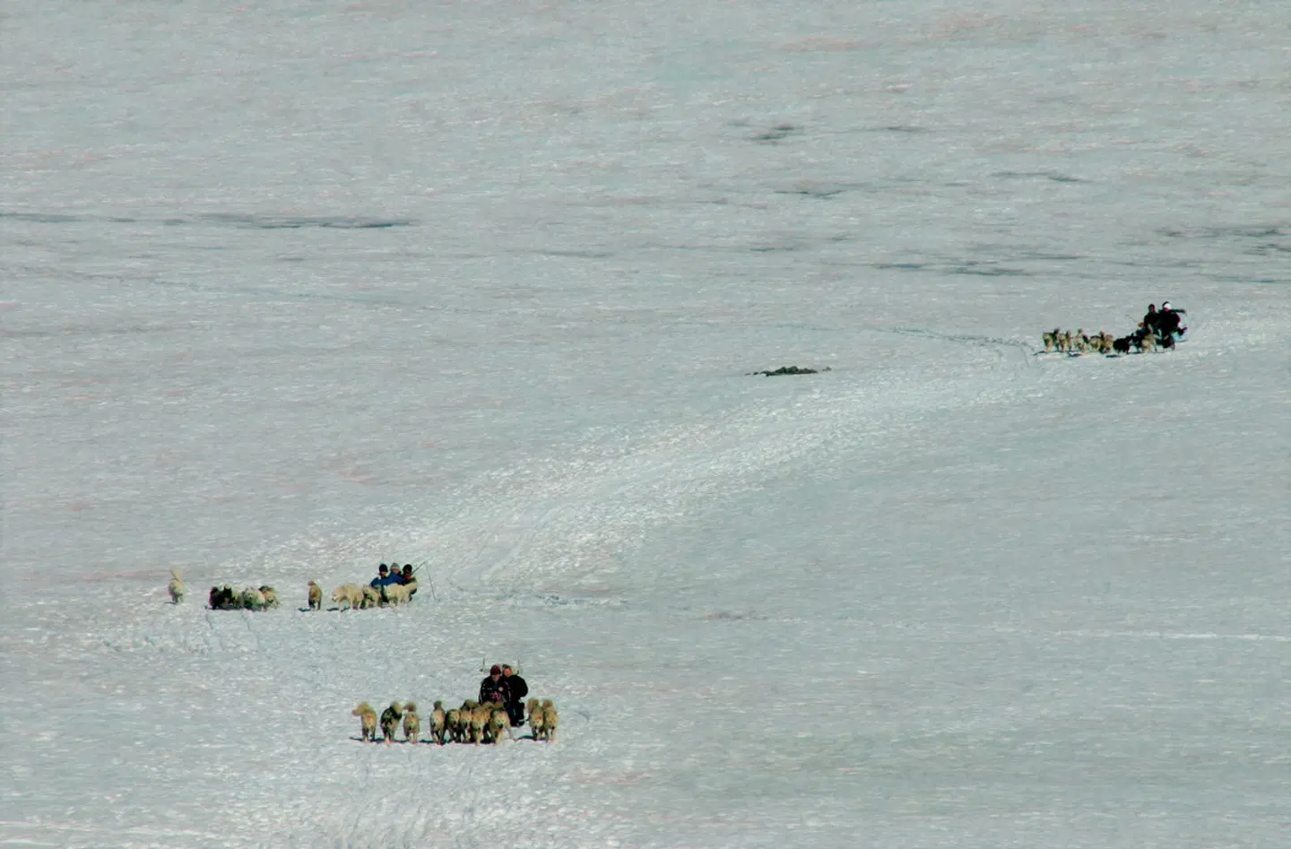 Winterabenteuer Grönland SPORTS_AND_LEISURE