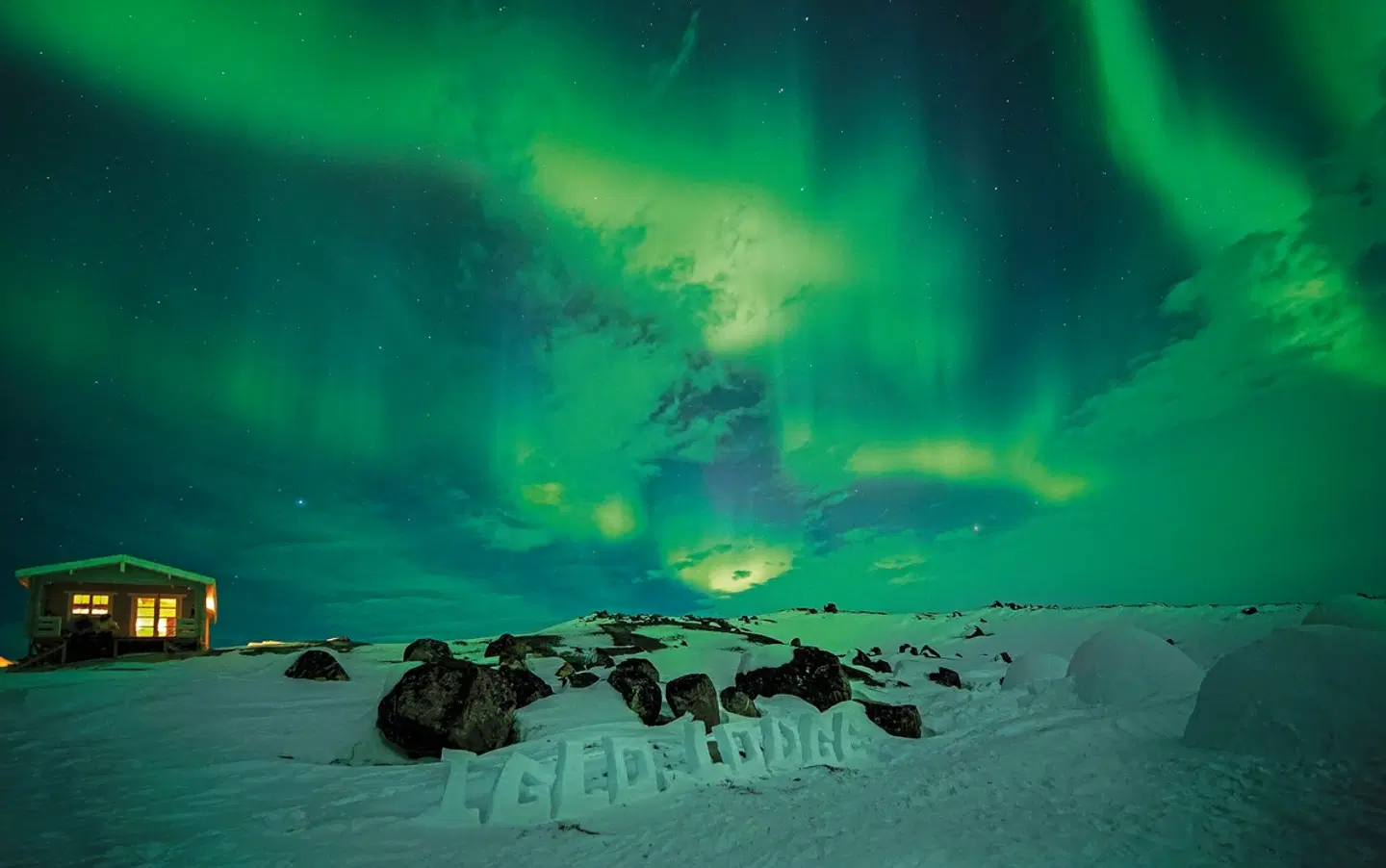 Winterabenteuer Grönland Tiere