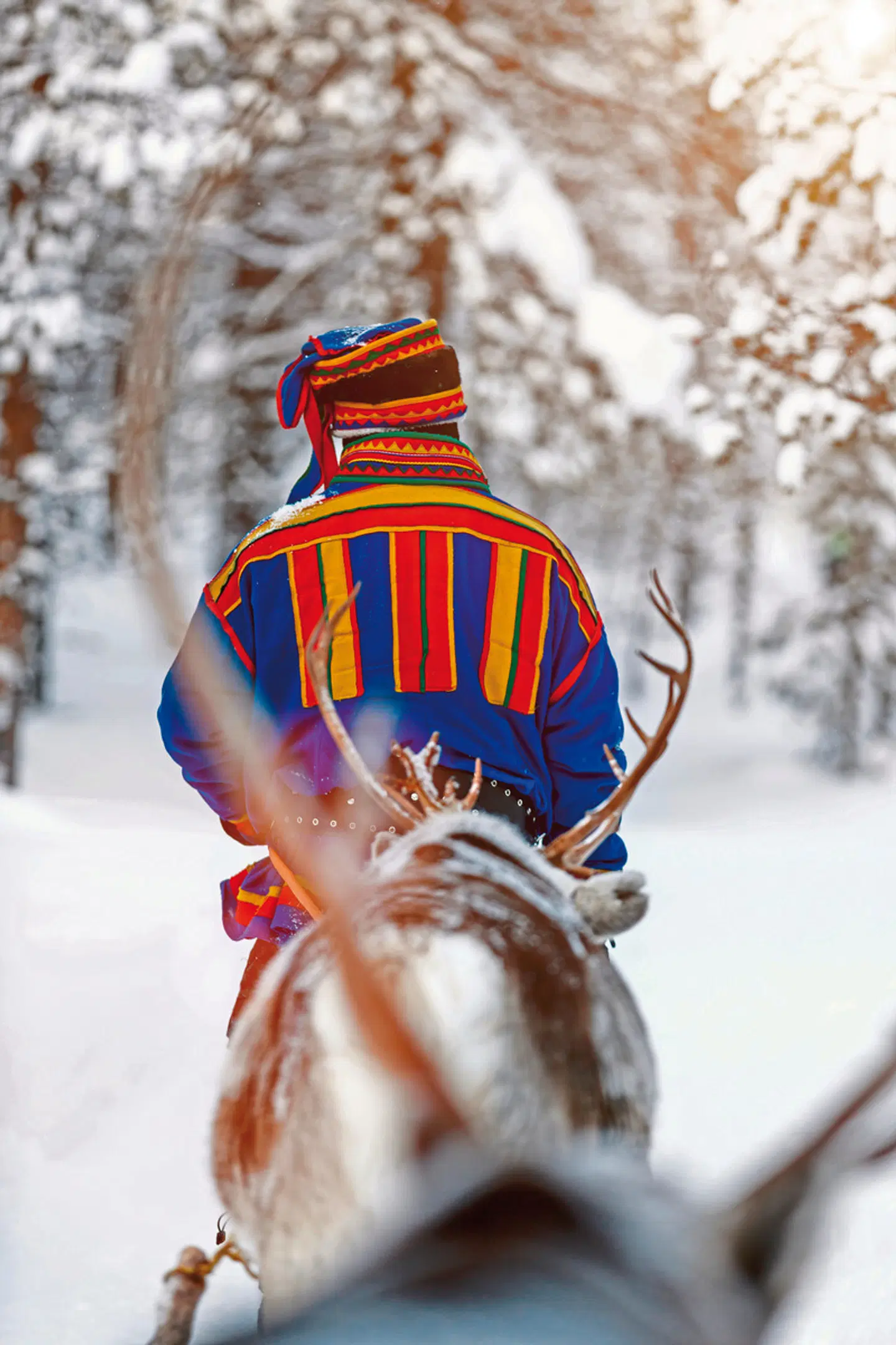 Wintertraum am Inarisee 5 Nächte Tiere