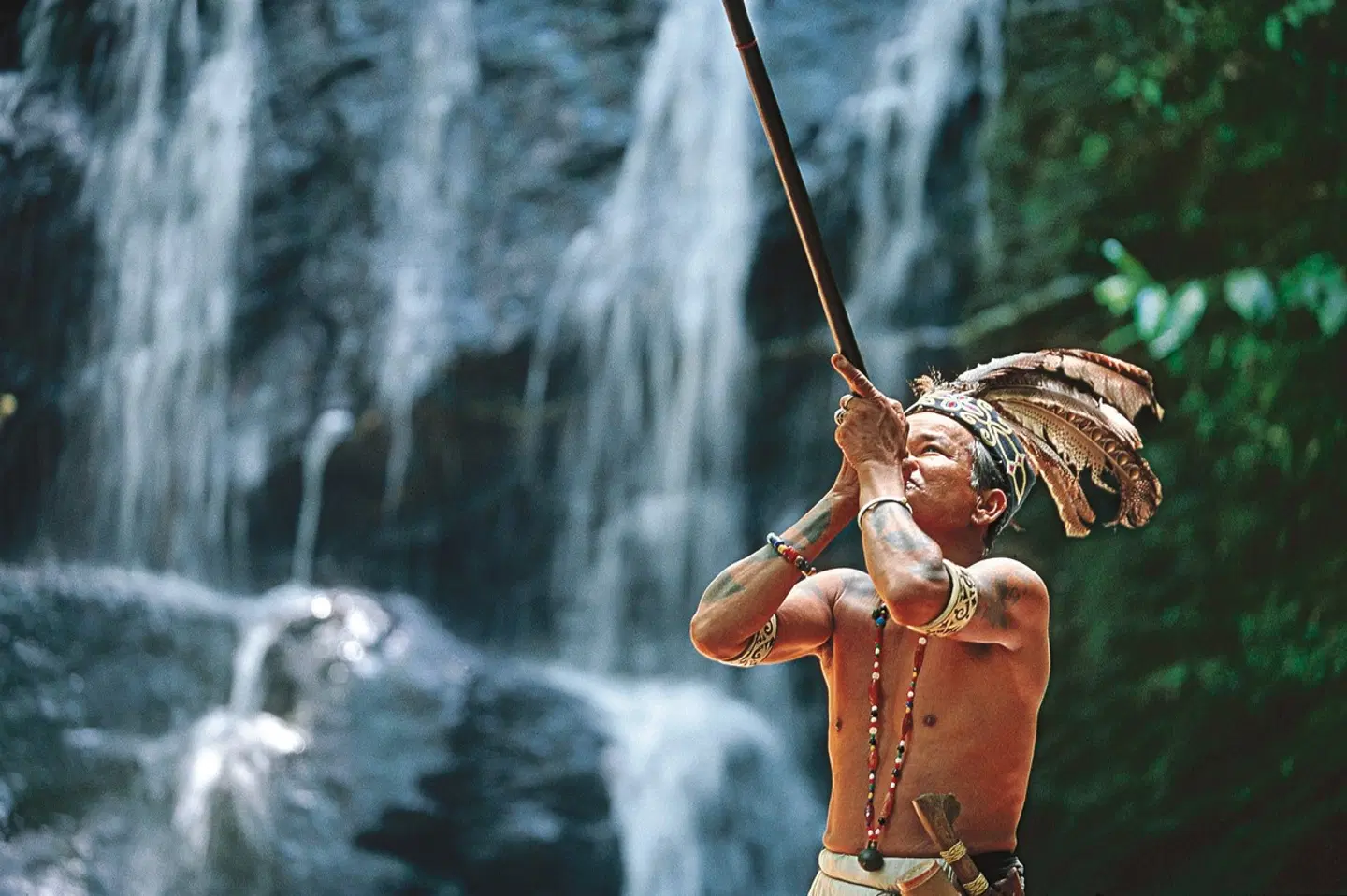 Naturwunder Borneos (Kuching-Kota Kinabalu) Tiere