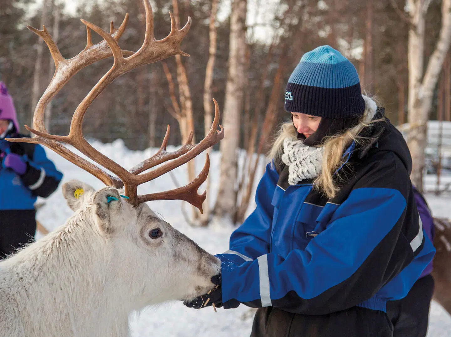 Perle am Inarisee (7 Nächte) Tiere