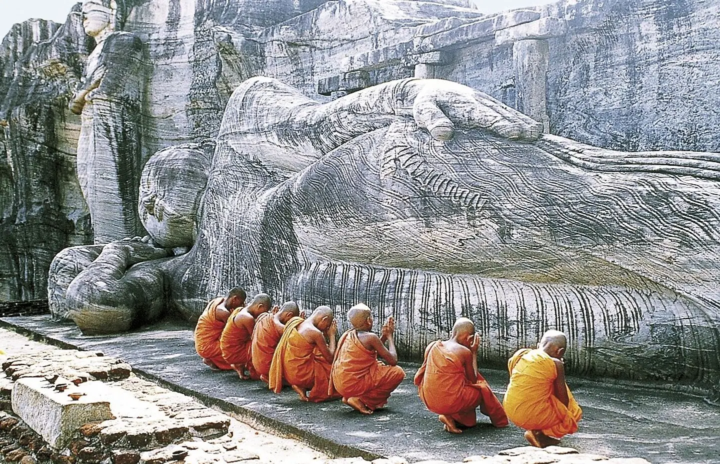 Sri Lanka neu entdecken Tiere