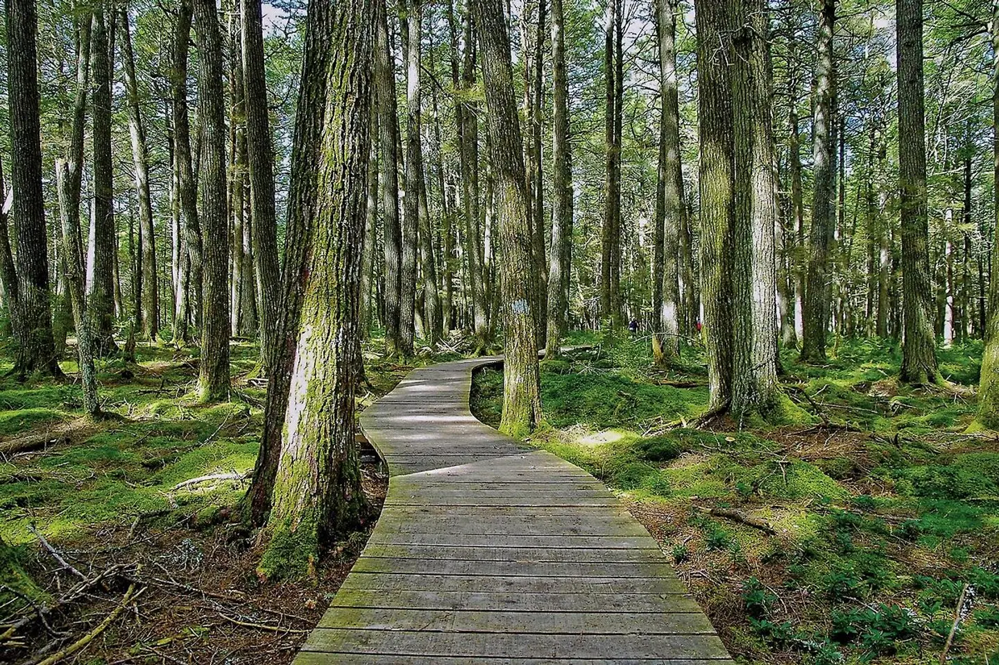 Französische Lebensart & Maritimes Flair Garten