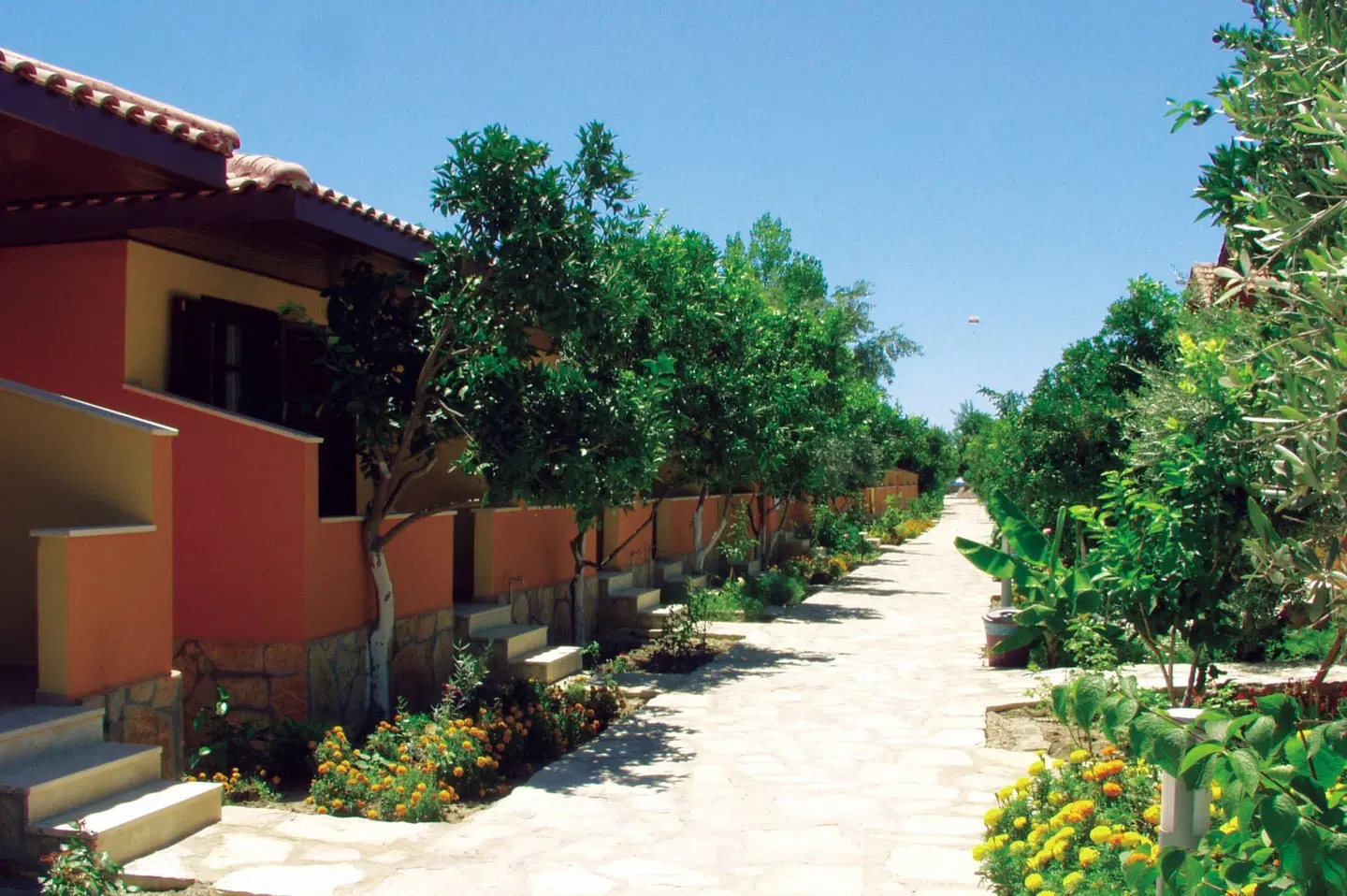 Özlem Garden Garten