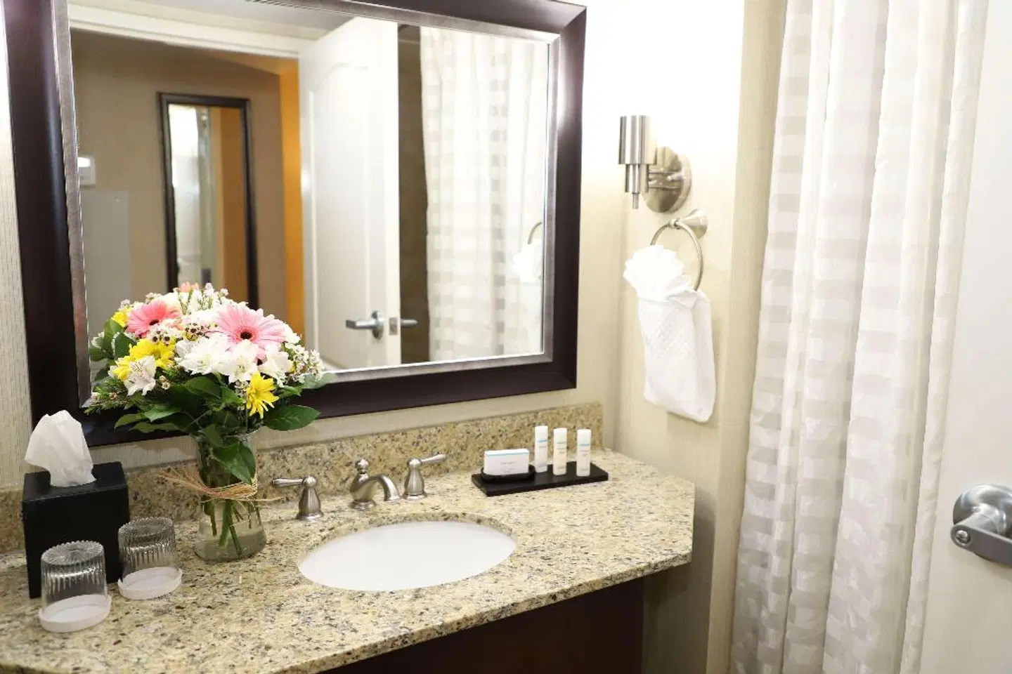 Embassy Suites by Hilton Nashville - at Vanderbilt Badezimmer