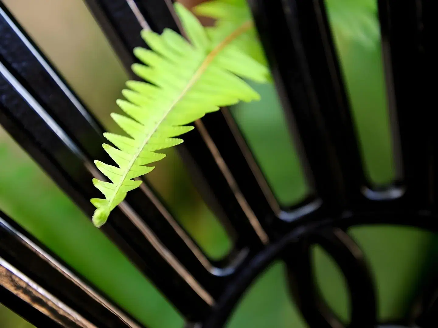 Bayside Guesthouse Garten