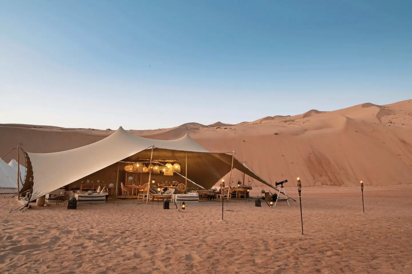 Faszination Oman - Erlebnisreise zwischen Natur & Kultur Tiere