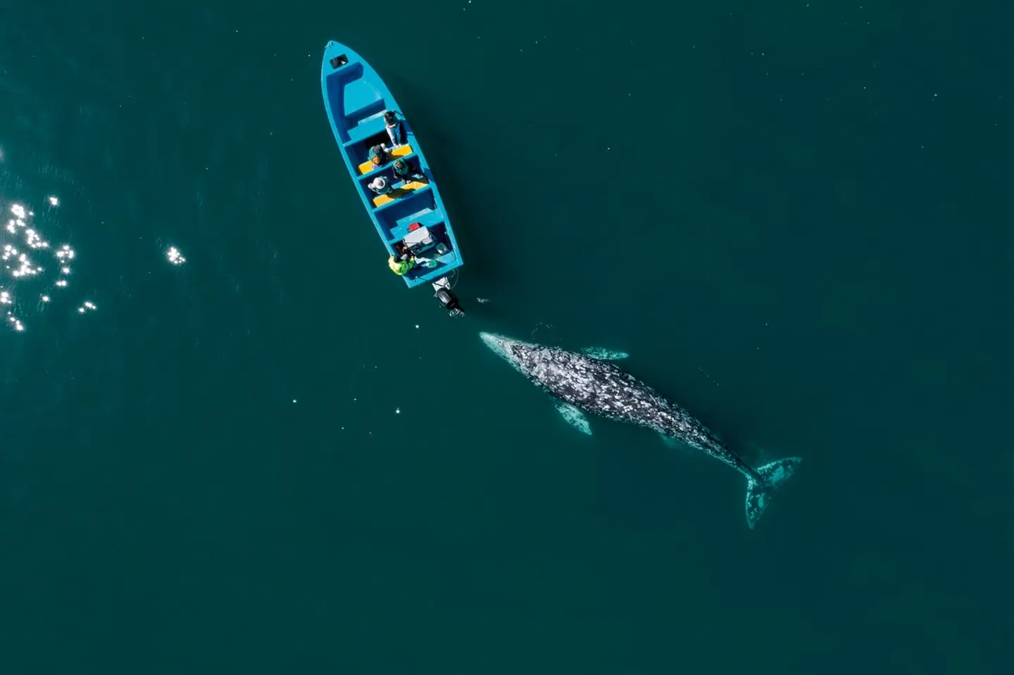 Busrundreise Baja California Landkarte