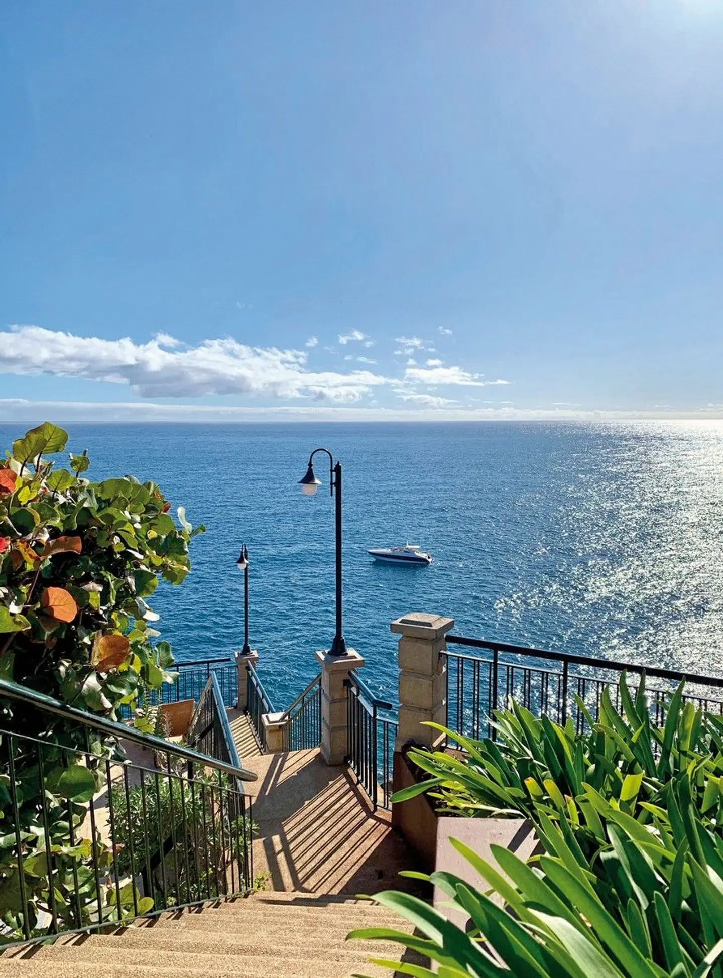 The Cliff Bay LANDSCAPE