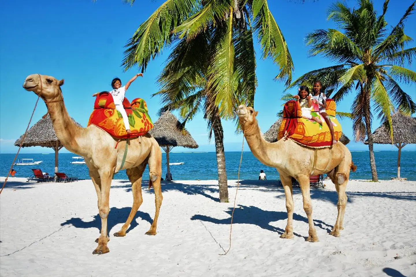 PrideInn Paradise Beach Resort & Spa, Mombasa Tiere