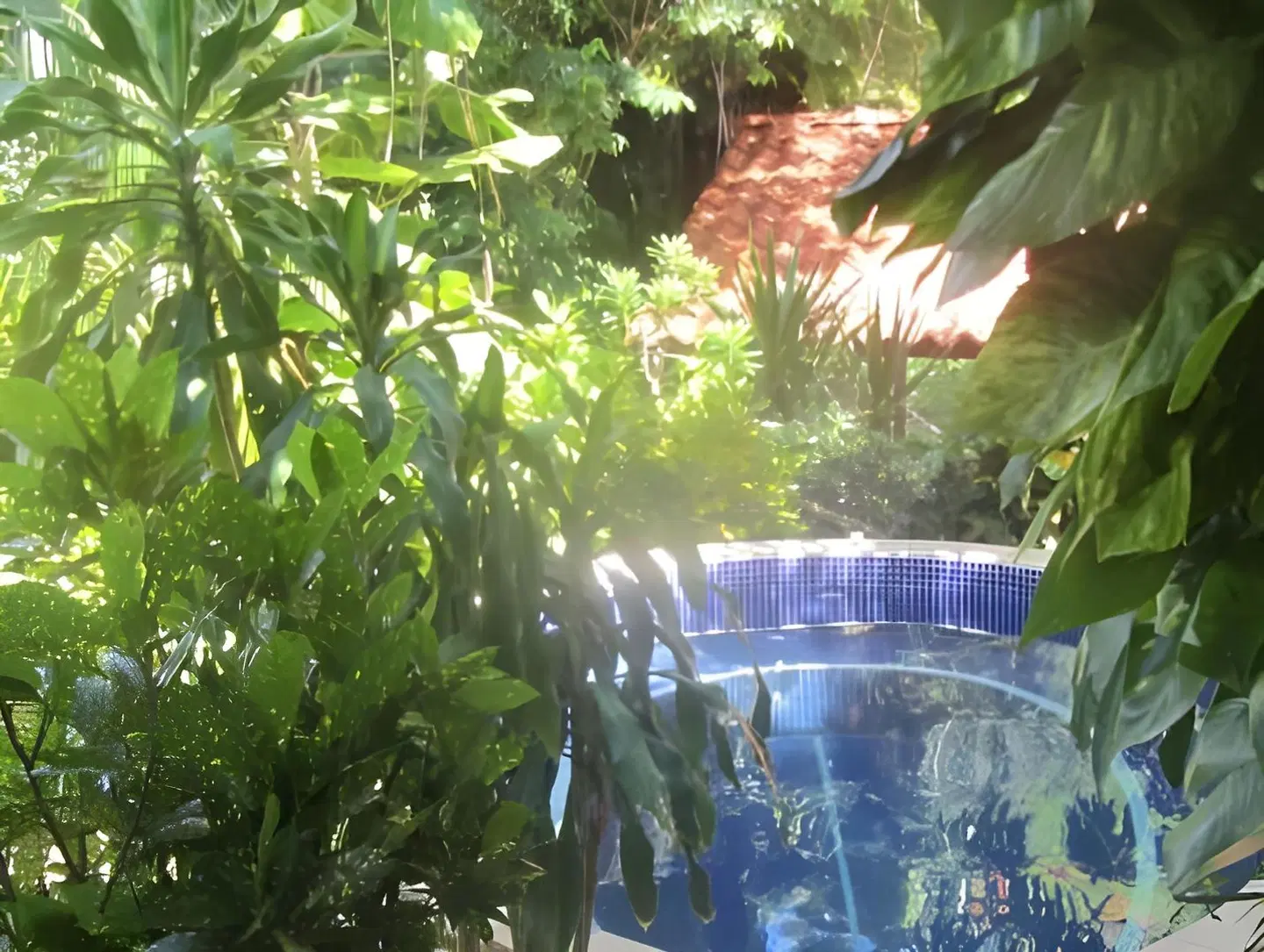 Belvedere Playa Samara Costa Rica GARDEN