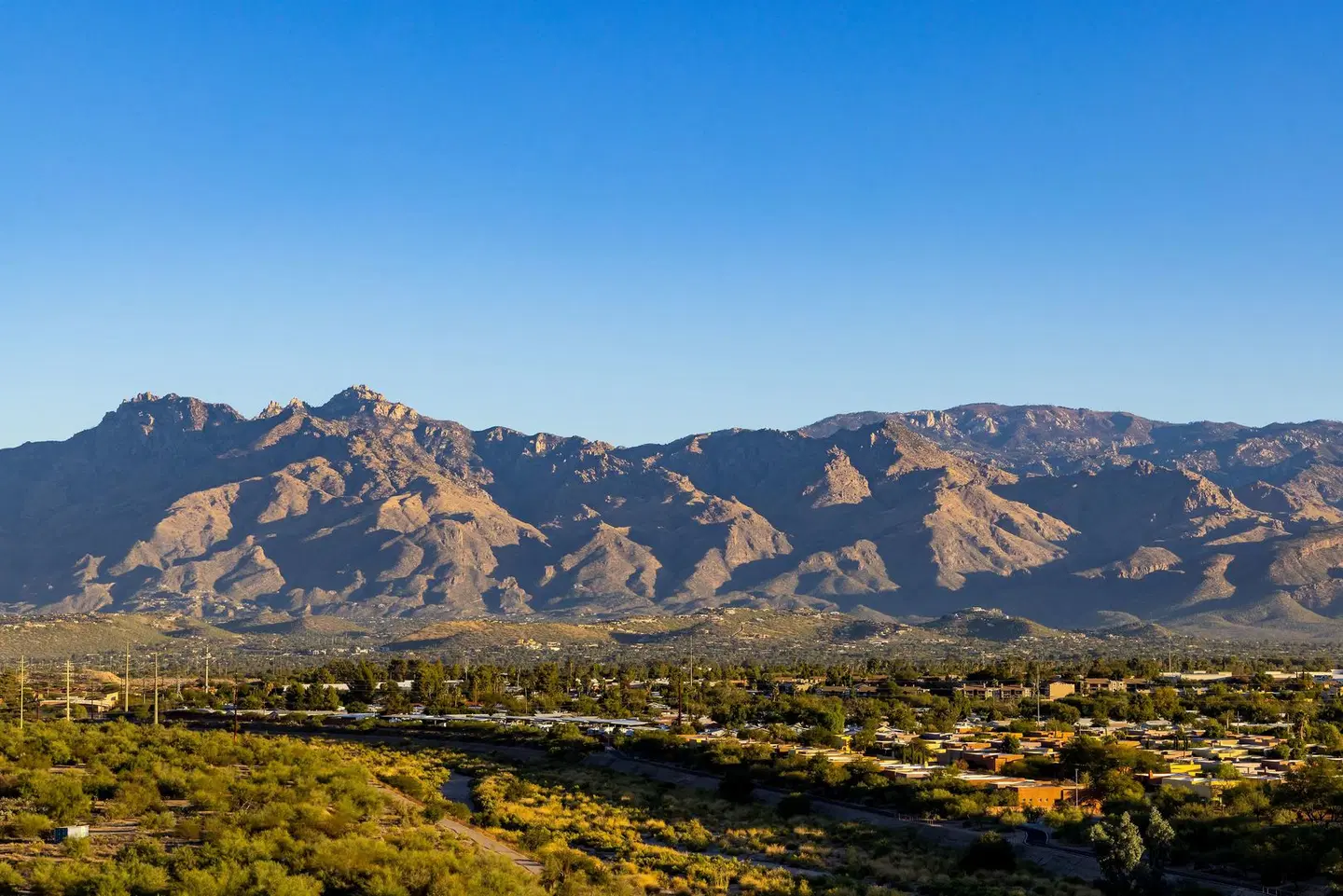 Hilton Tucson East LANDSCAPE