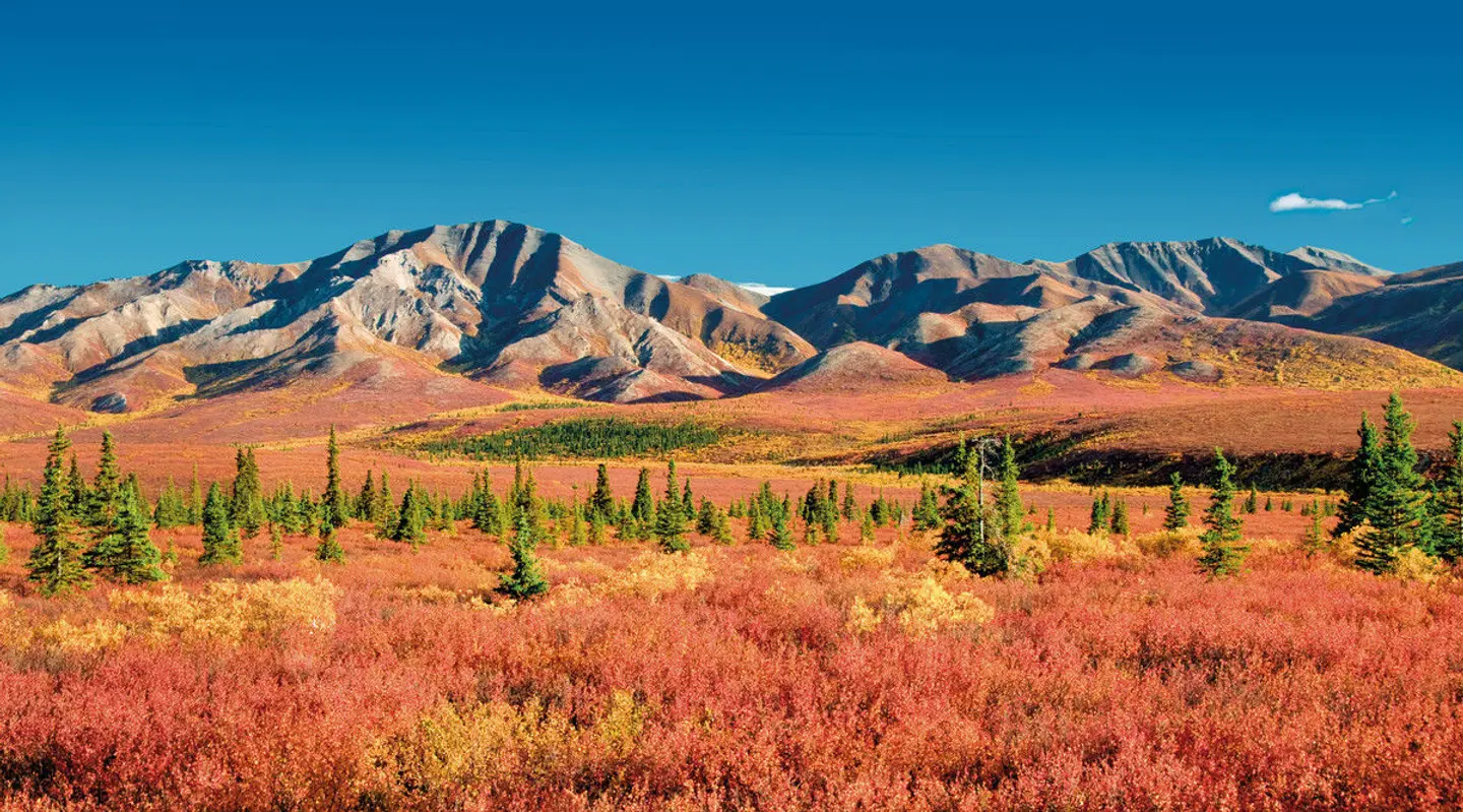 Auf dem Seeweg nach Alaska EXTERIOR