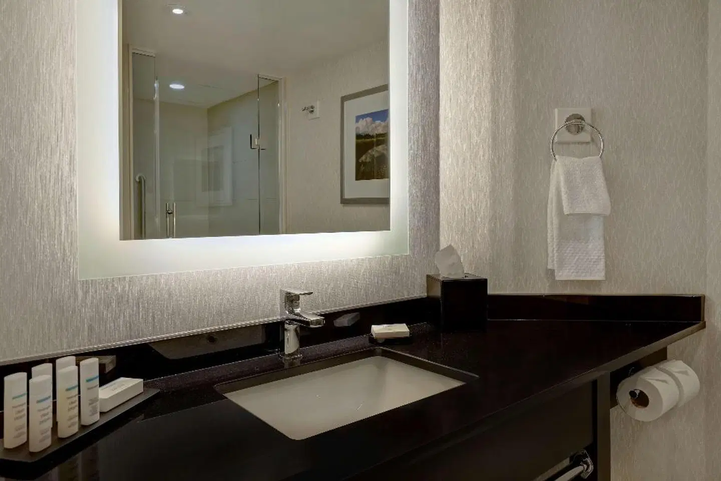 Embassy Suites by Hilton Niagara Falls Fallsview ROOM_EXAMPLE